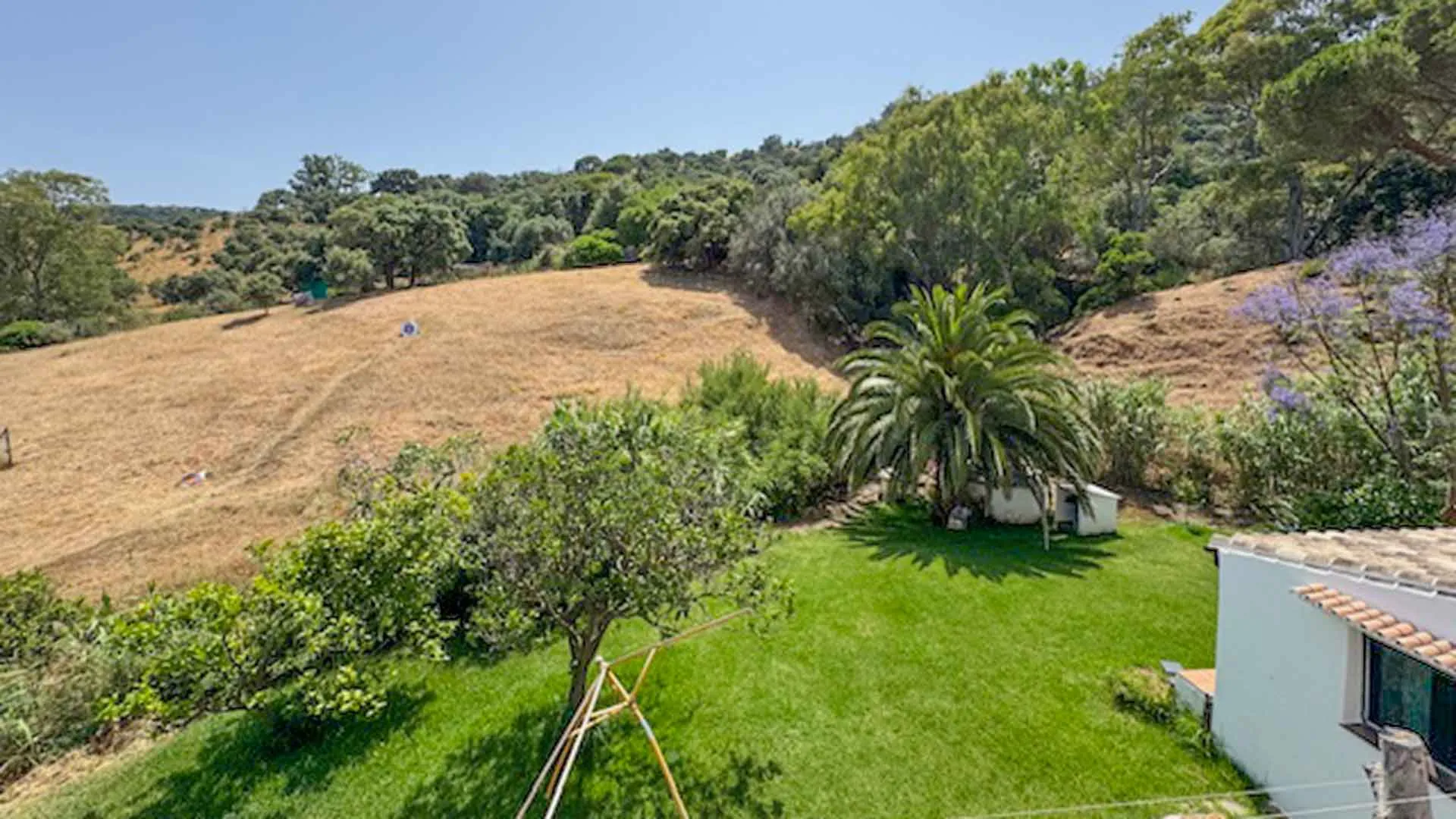 Casares, finca en venta