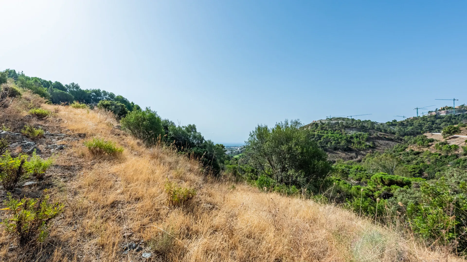 El Madroñal plot for sale