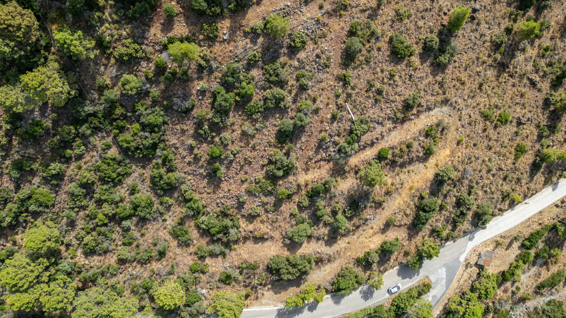 El Madroñal plot for sale