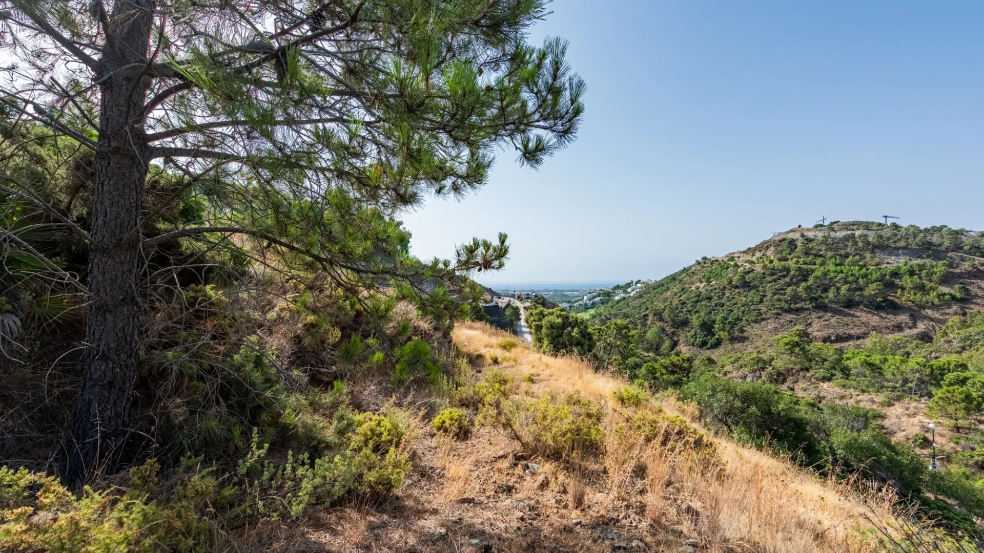 El Madroñal plot for sale