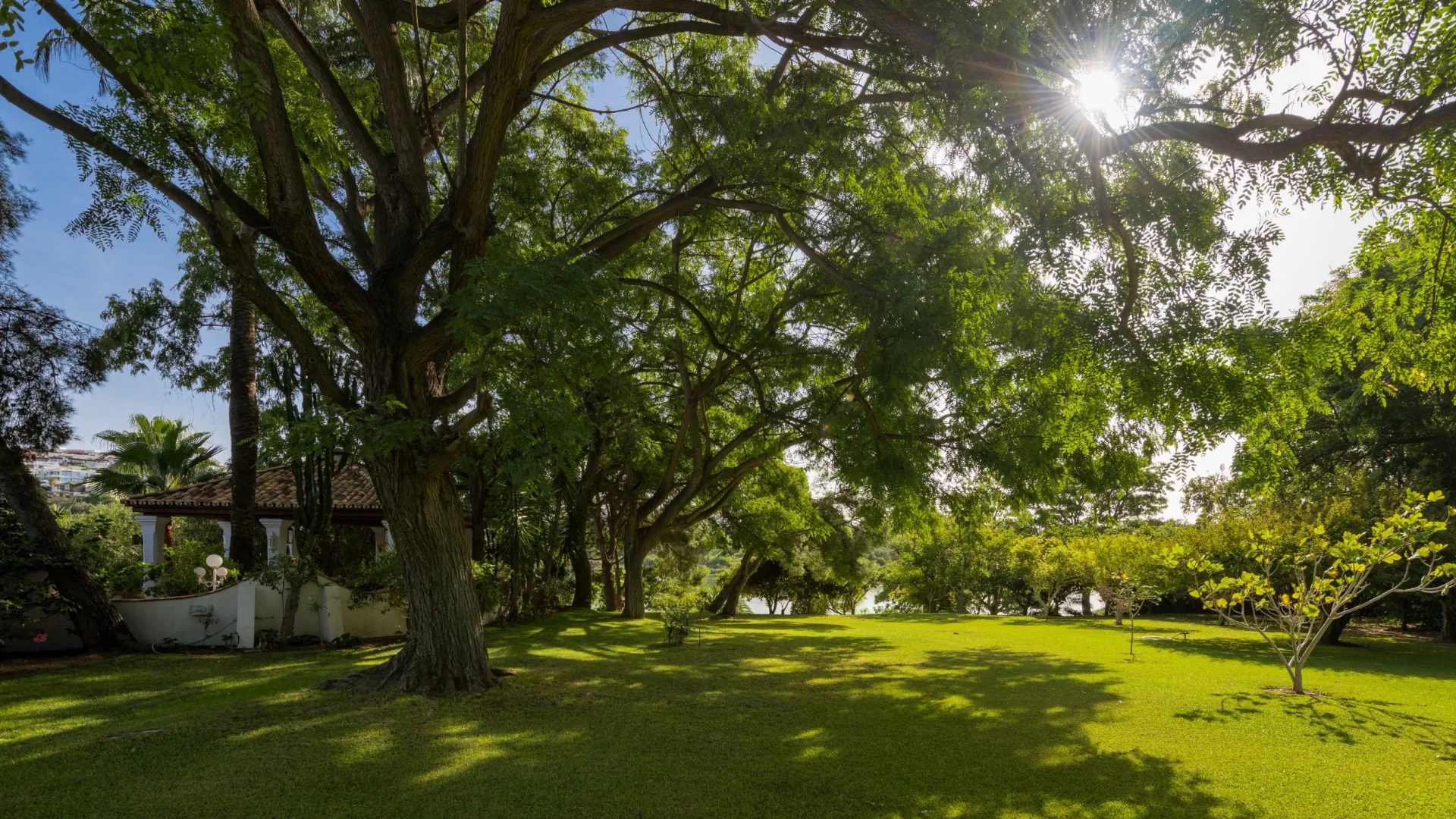 For sale 6 bedrooms cortijo in Benahavis