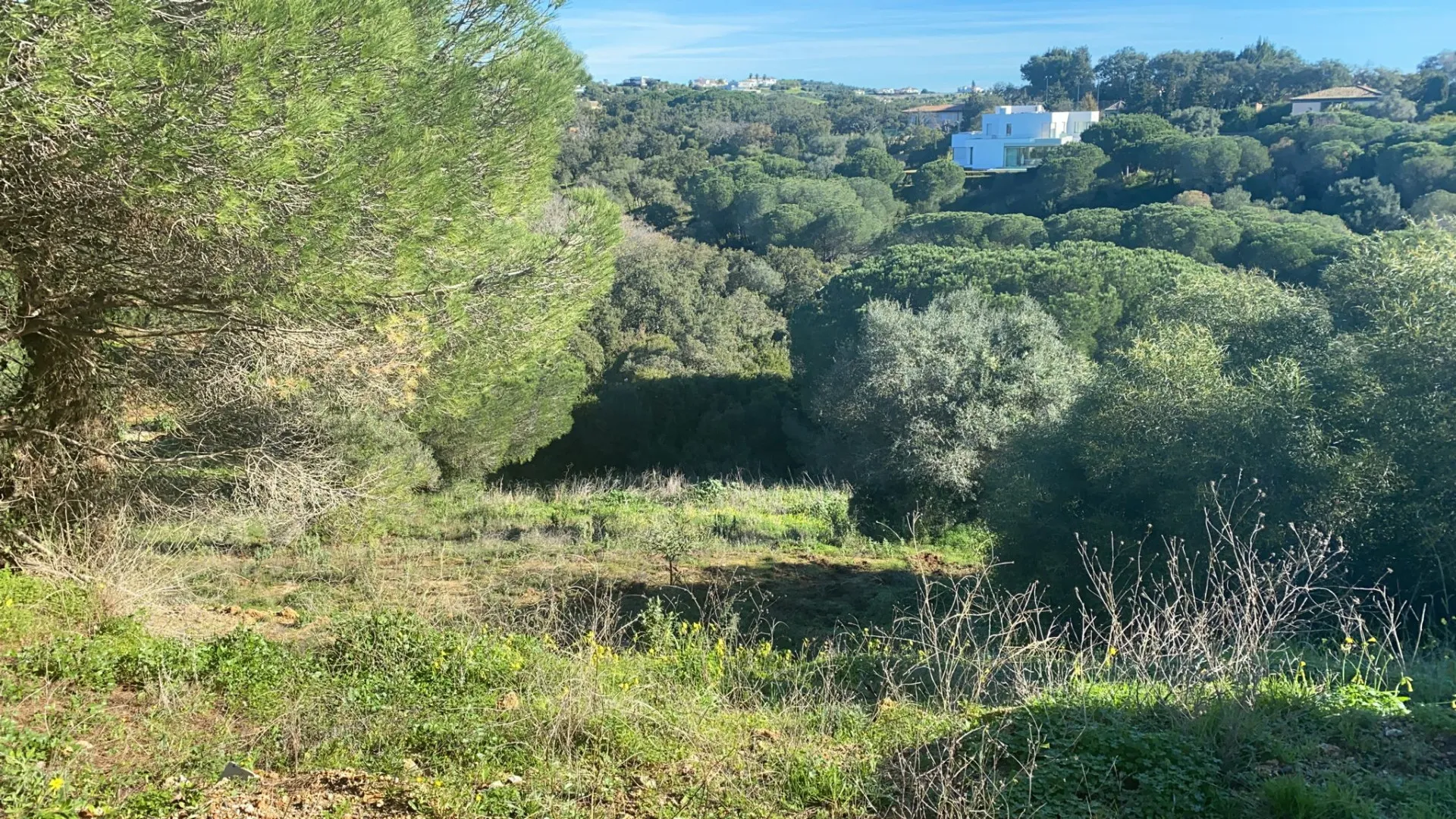 For sale plot in Sotogrande