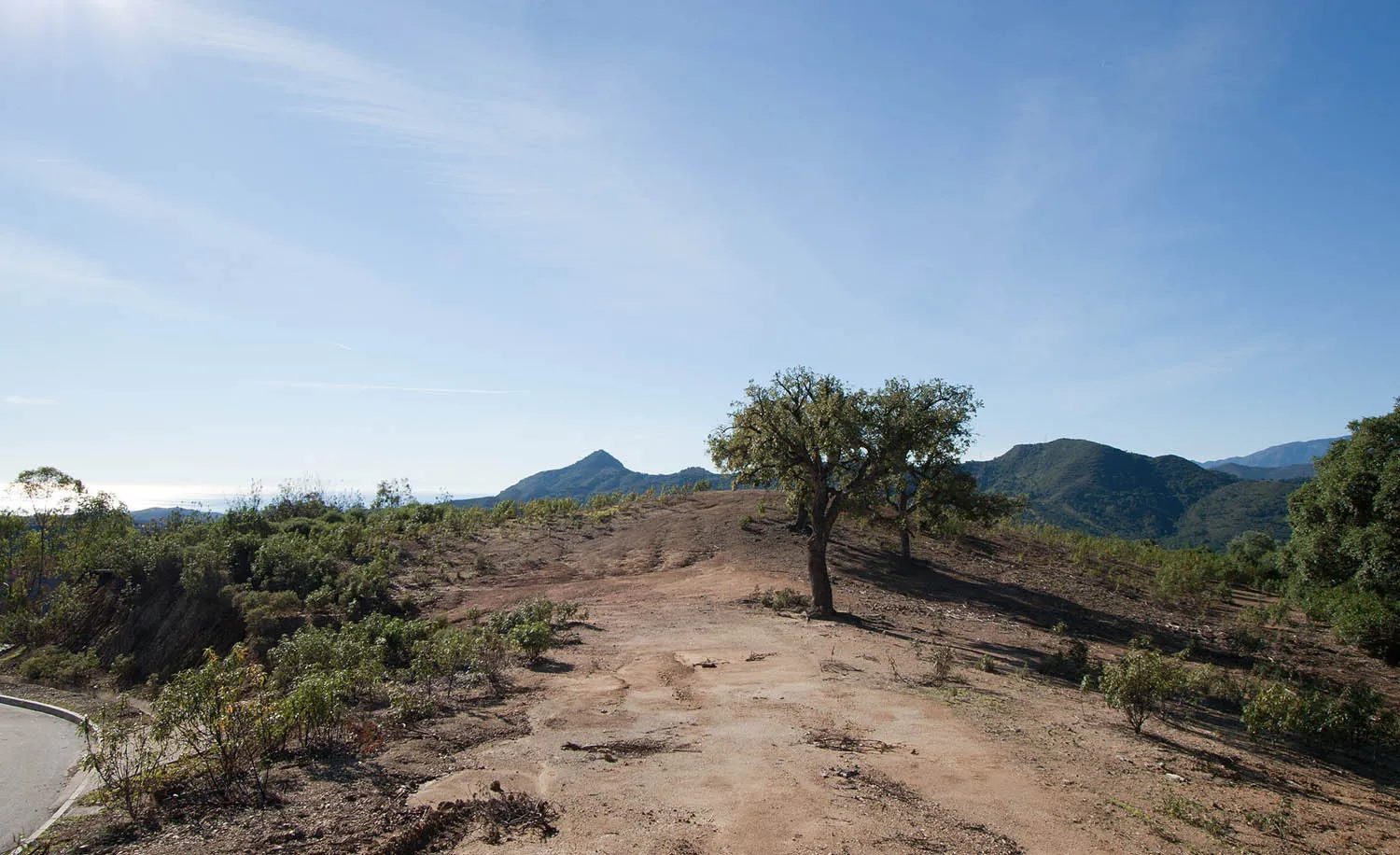 Parcela a la venta en La Zagaleta