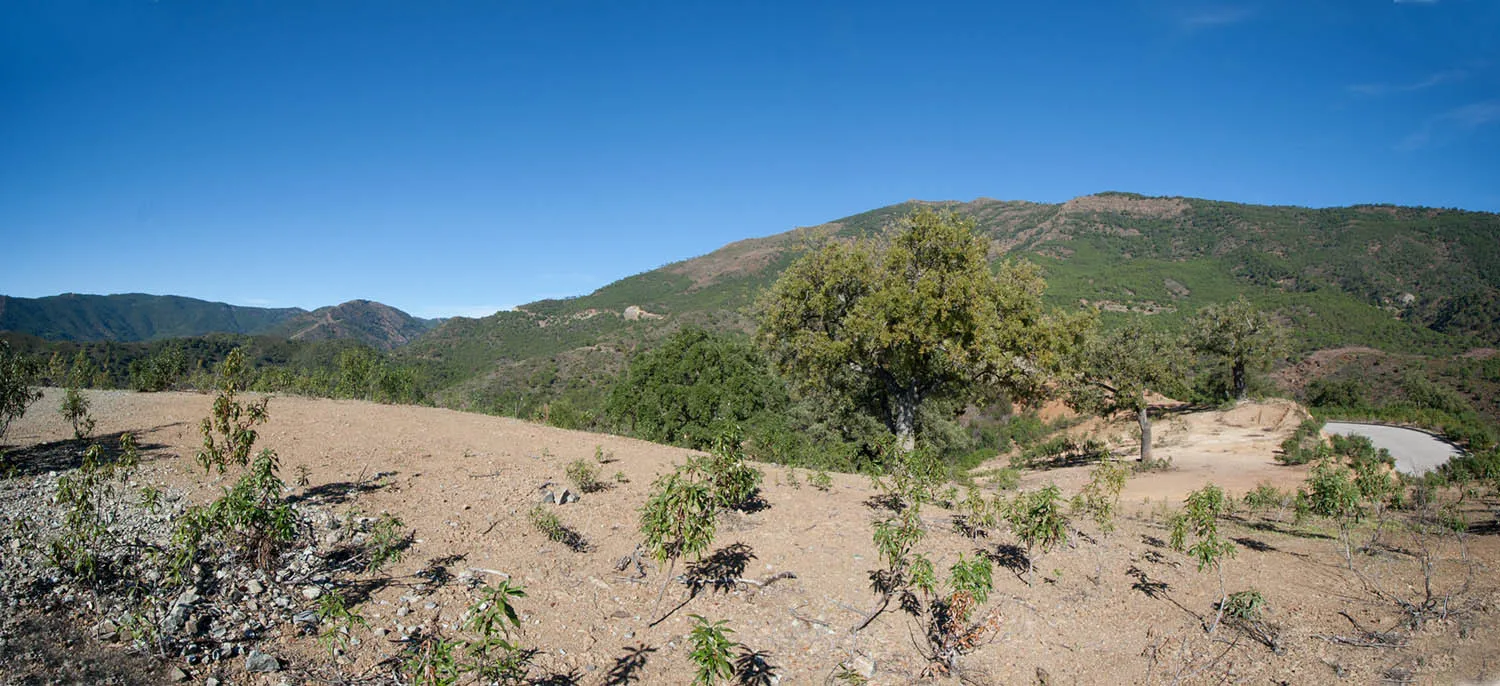 Parcela a la venta en La Zagaleta