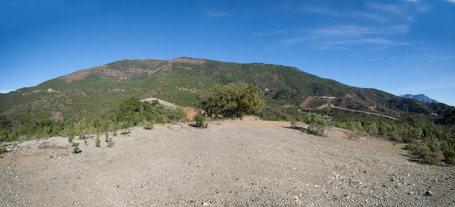 Parcela a la venta en La Zagaleta