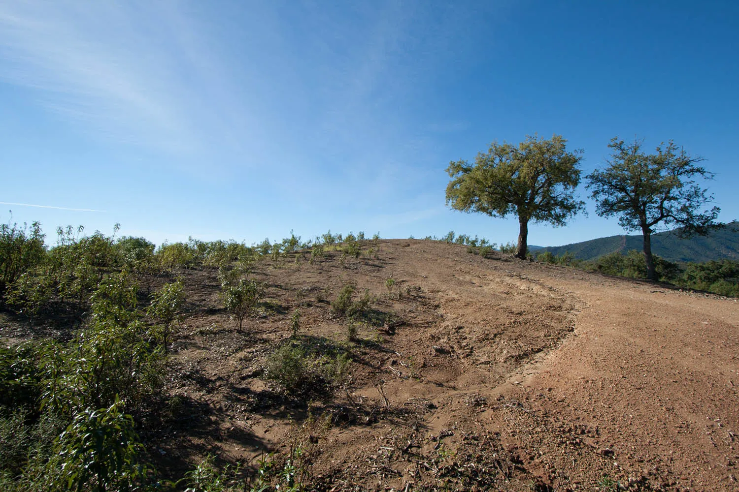 Parcela a la venta en La Zagaleta