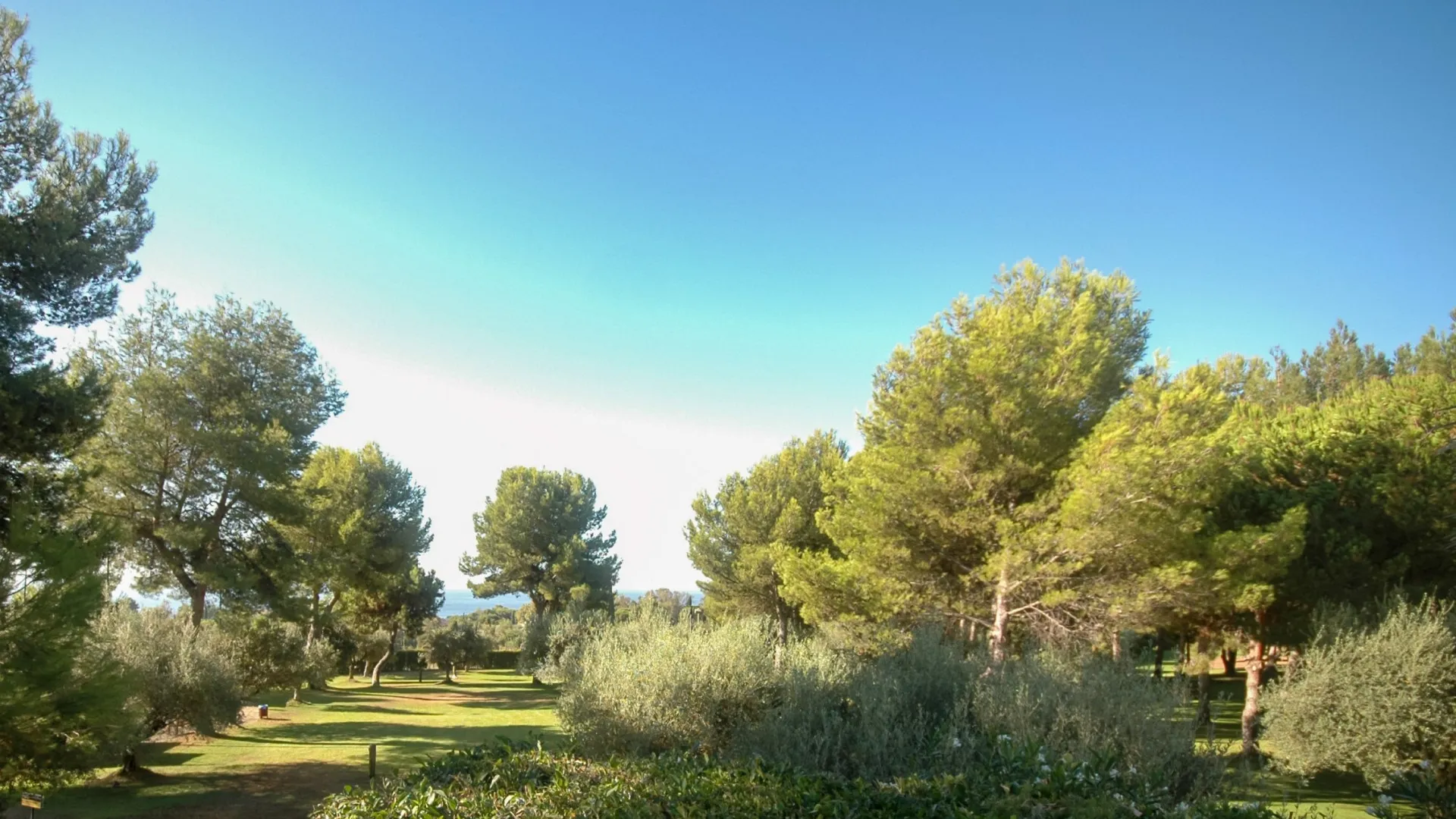 For sale 4 bedrooms villa in Altos Reales