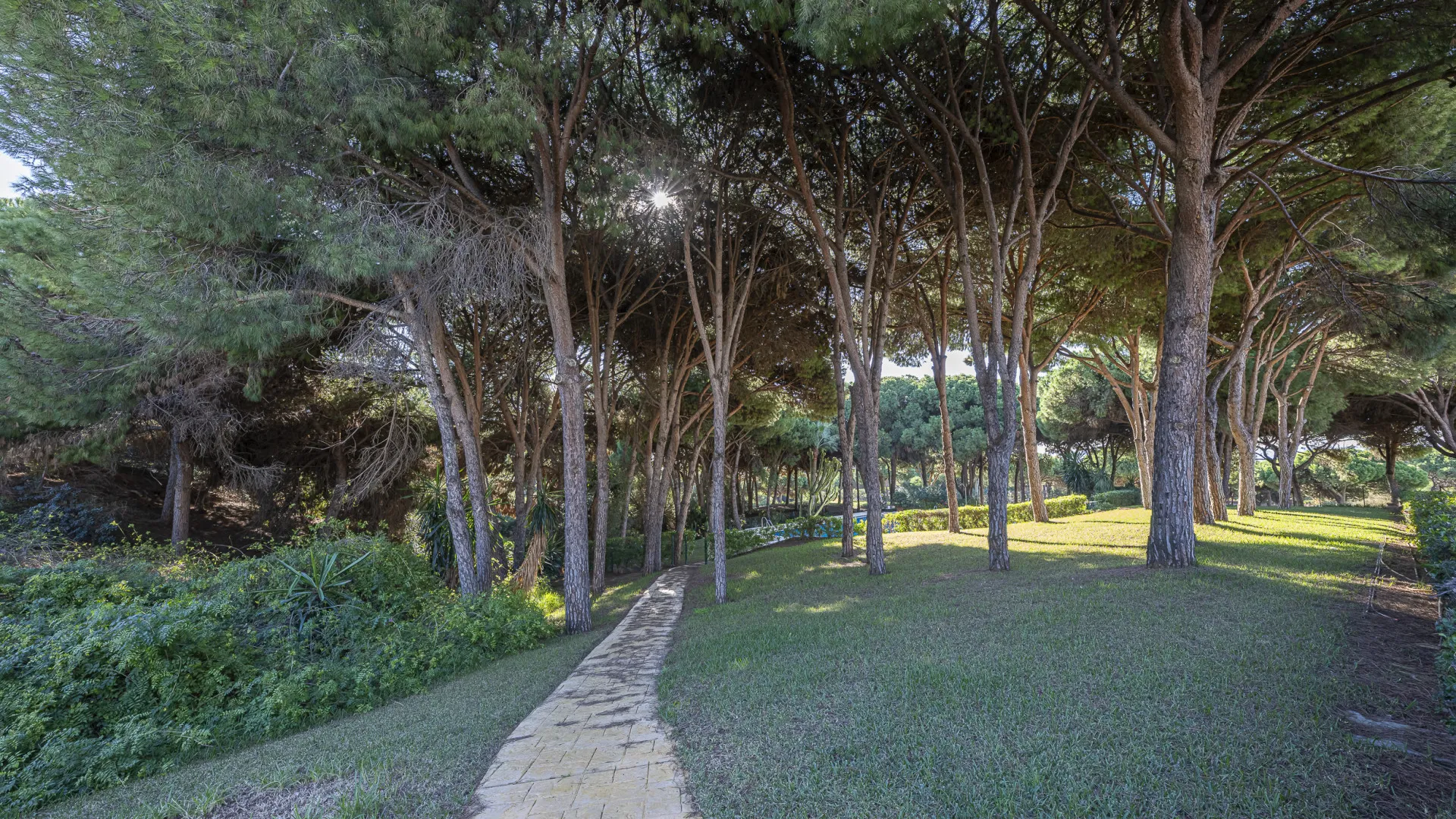 For sale town house in Cabopino