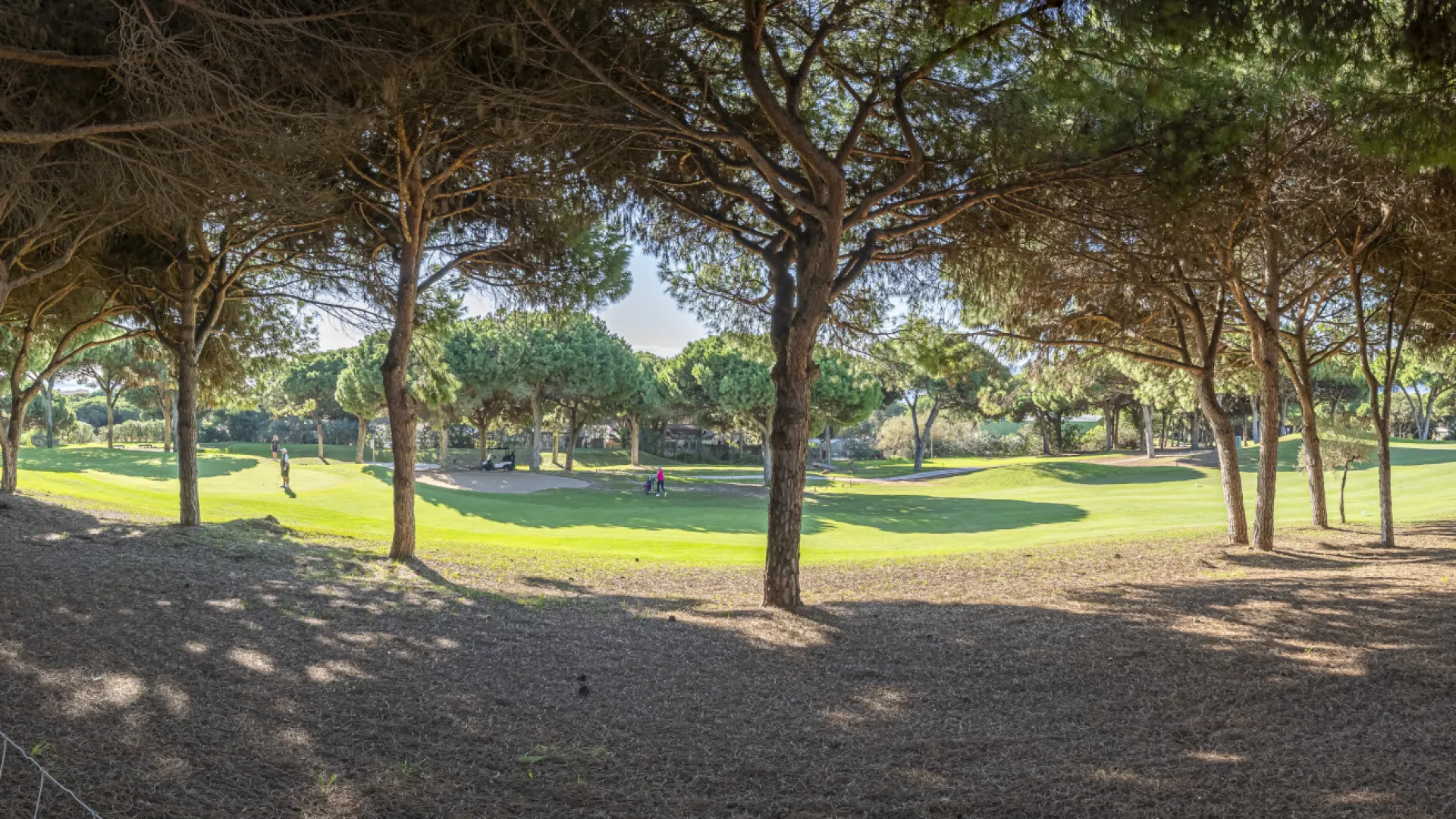 For sale town house in Cabopino