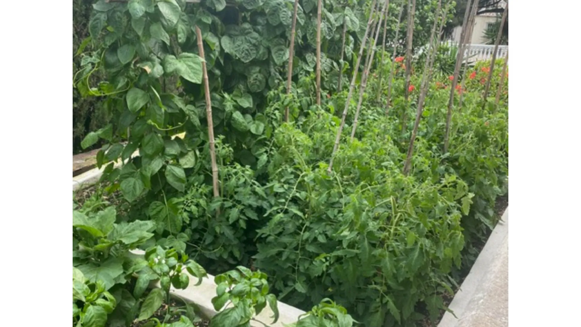 Comprar casa en Sitio de Calahonda con 6 dormitorios