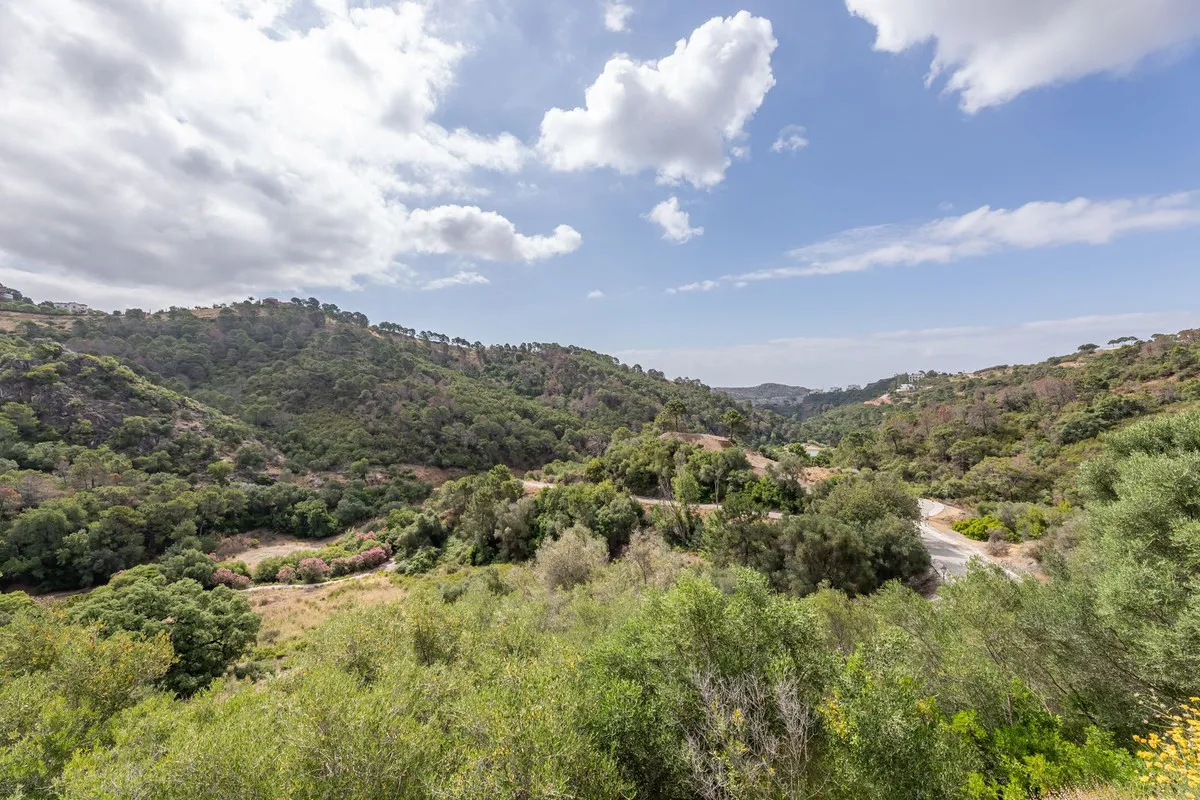 6 bedrooms villa in Benahavis for sale