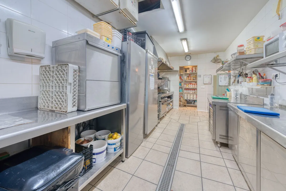 San Pedro de Alcantara restaurant for sale