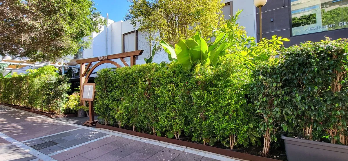 Buy Marbella - Puerto Banus restaurant