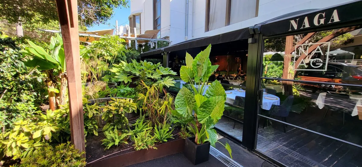 Buy Marbella - Puerto Banus restaurant