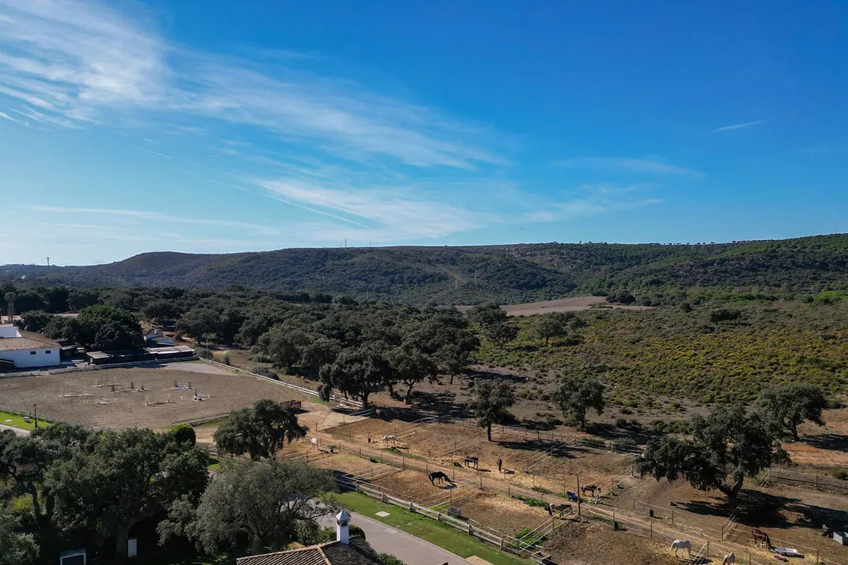 Comprar villa de 4 dormitorios en San Roque Club