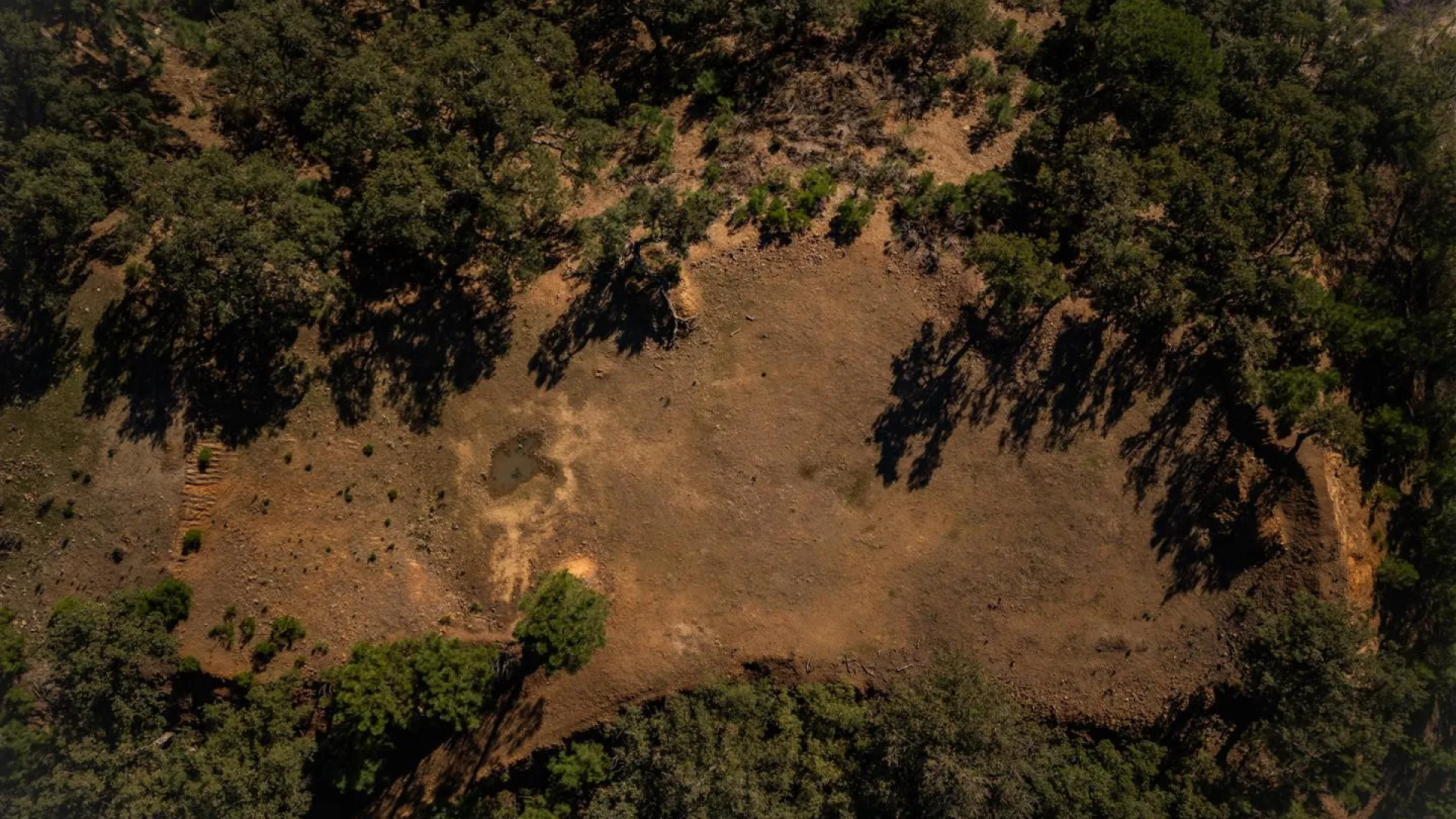 Plot for sale in La Zagaleta