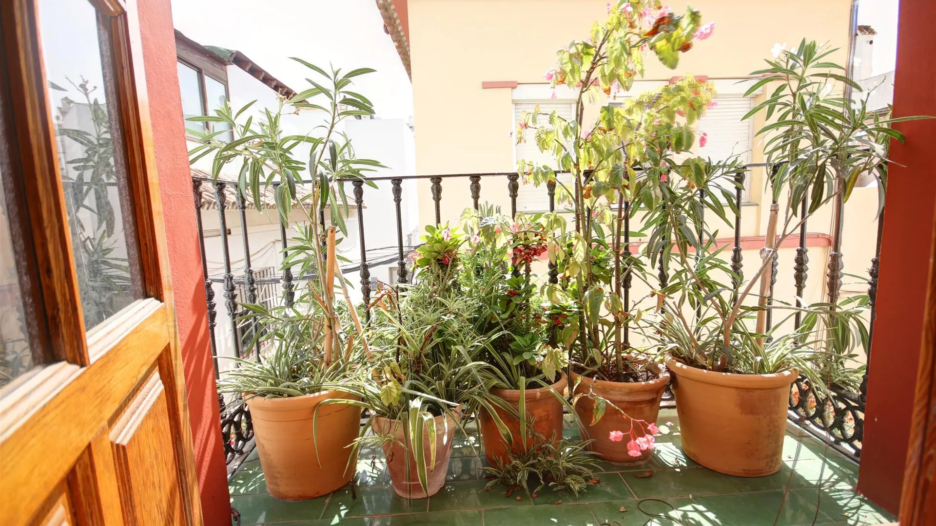 Comprar apartamento con 3 dormitorios en Estepona Casco Antiguo