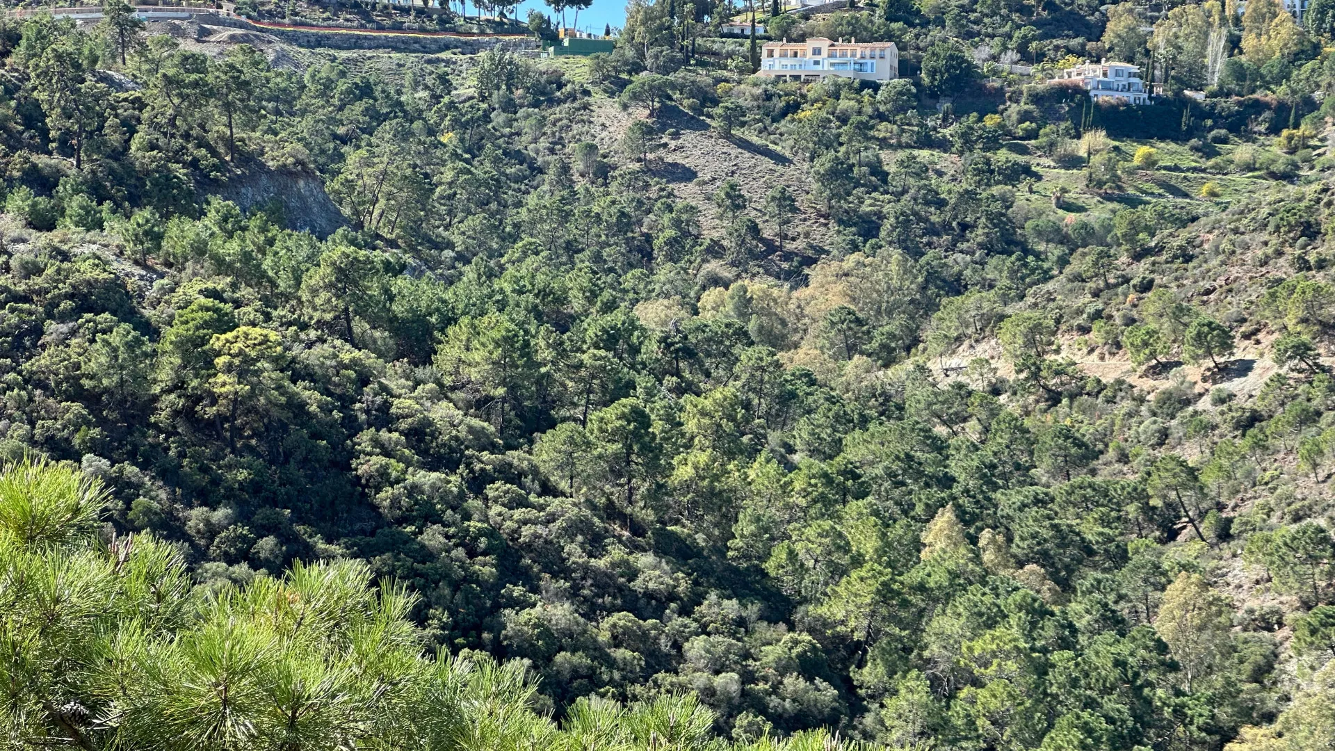 Se vende villa en El Madroñal