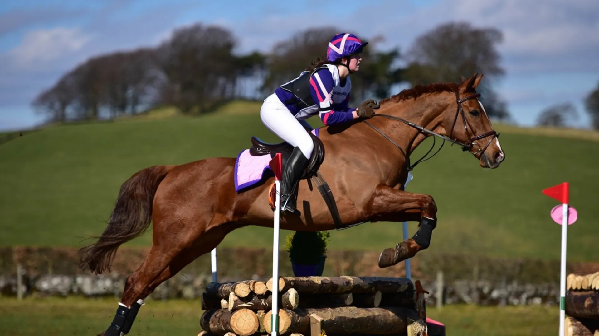 Villa de 6 dormitorios en venta en El Madroñal