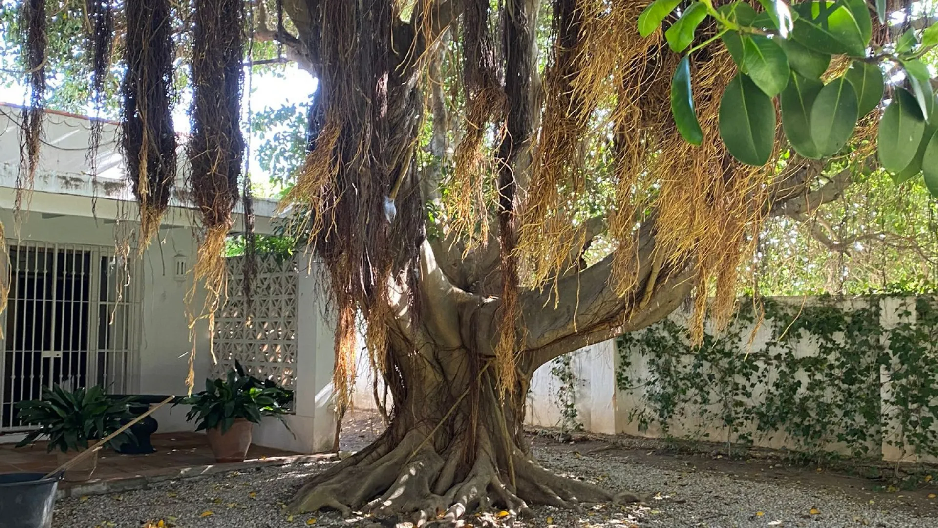 4 bedrooms villa in Casasola for sale