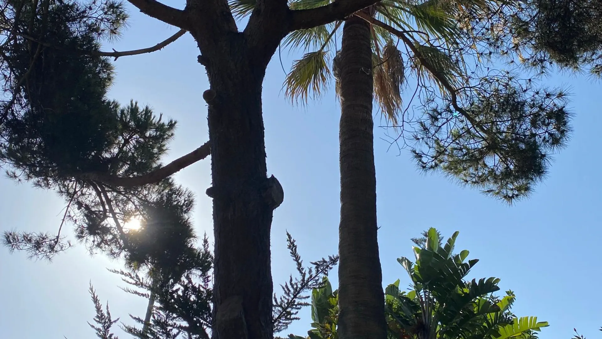 4 bedrooms villa in Casasola for sale