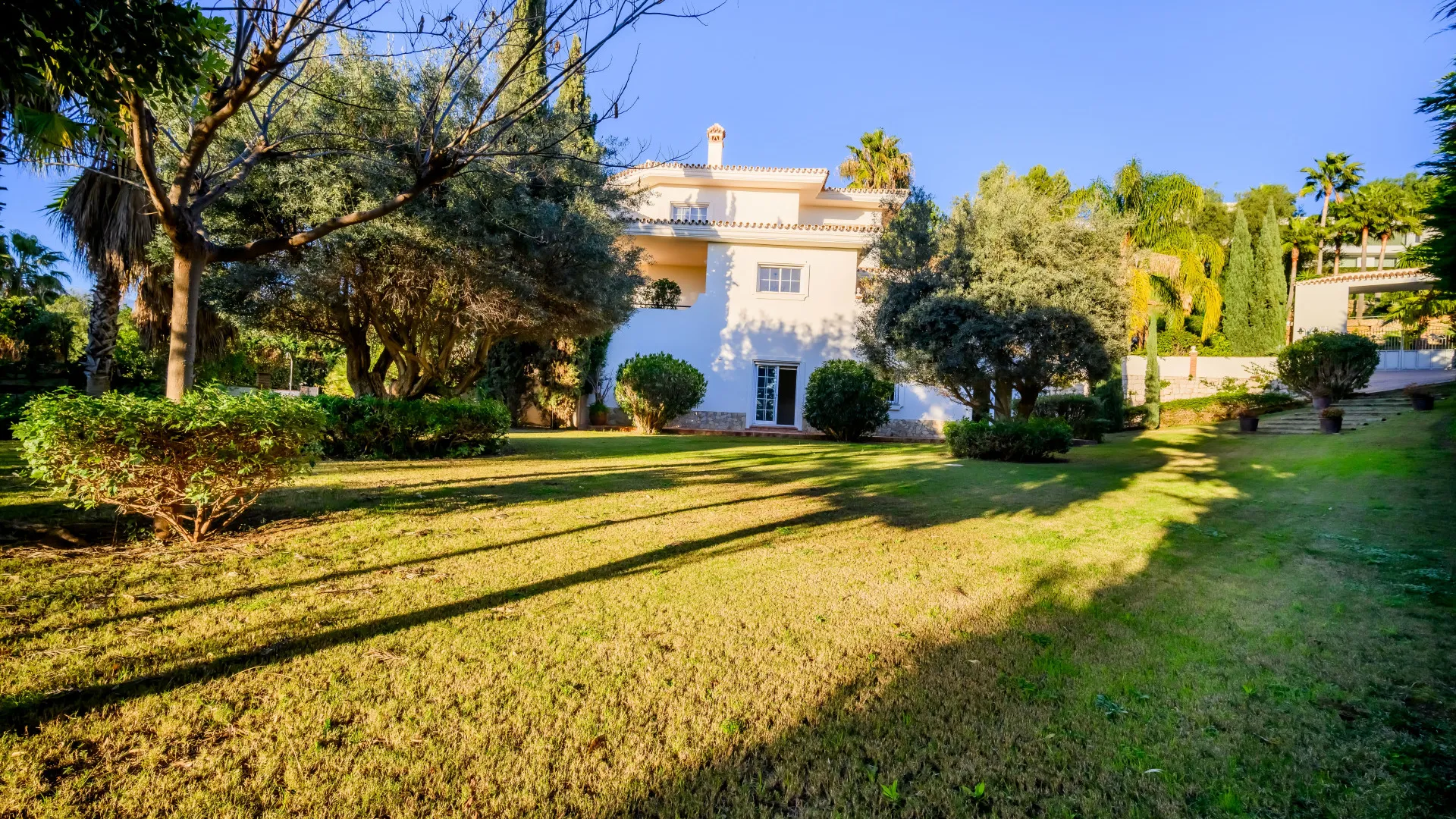 Buy villa in Nueva Andalucia