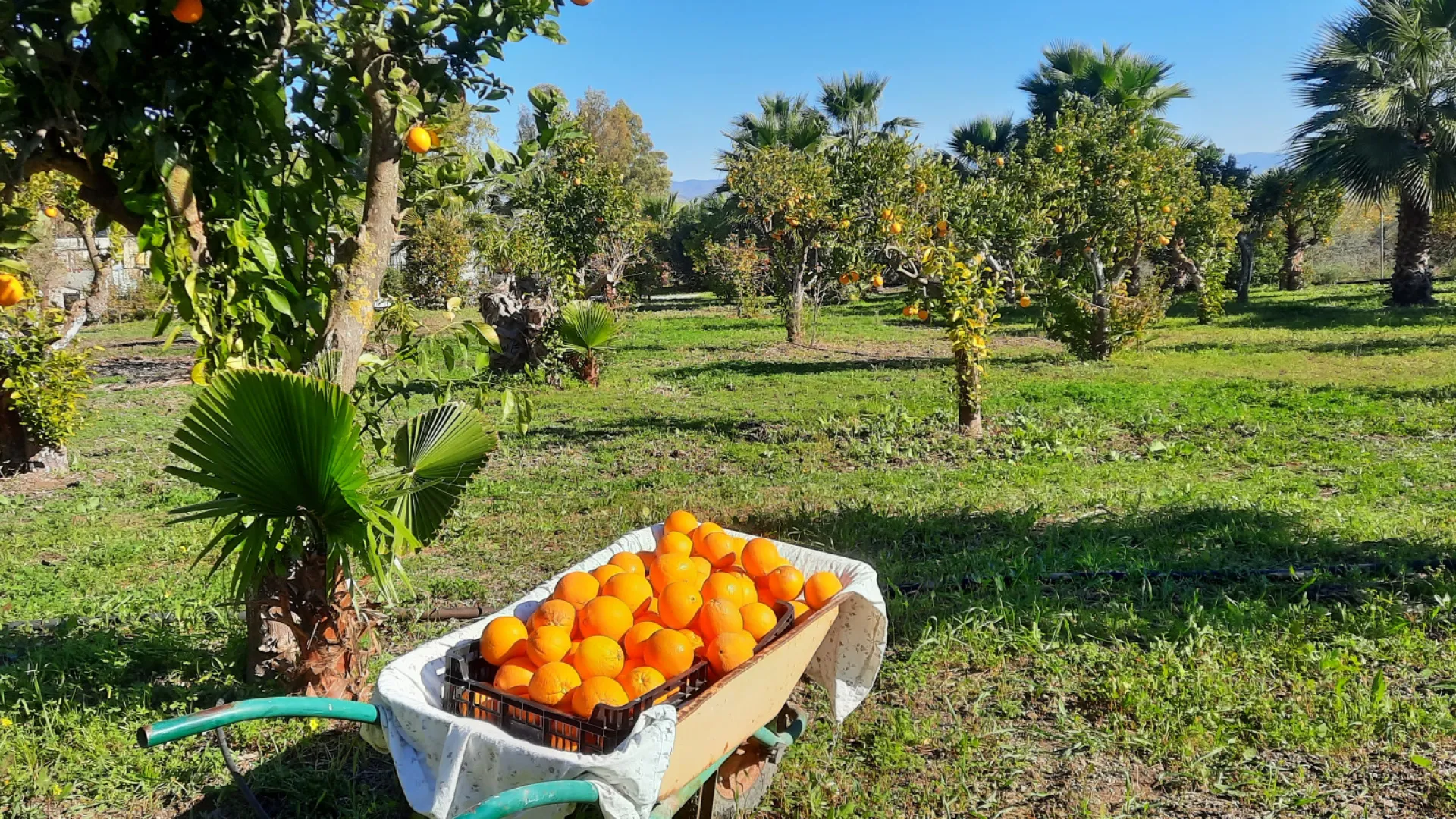 For sale villa with 6 bedrooms in Alhaurin de la Torre