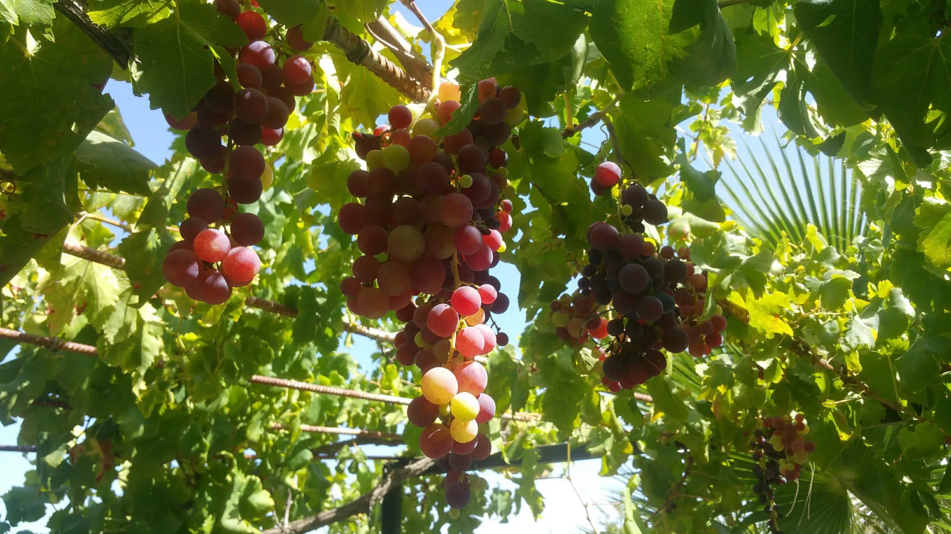 For sale villa with 6 bedrooms in Alhaurin de la Torre