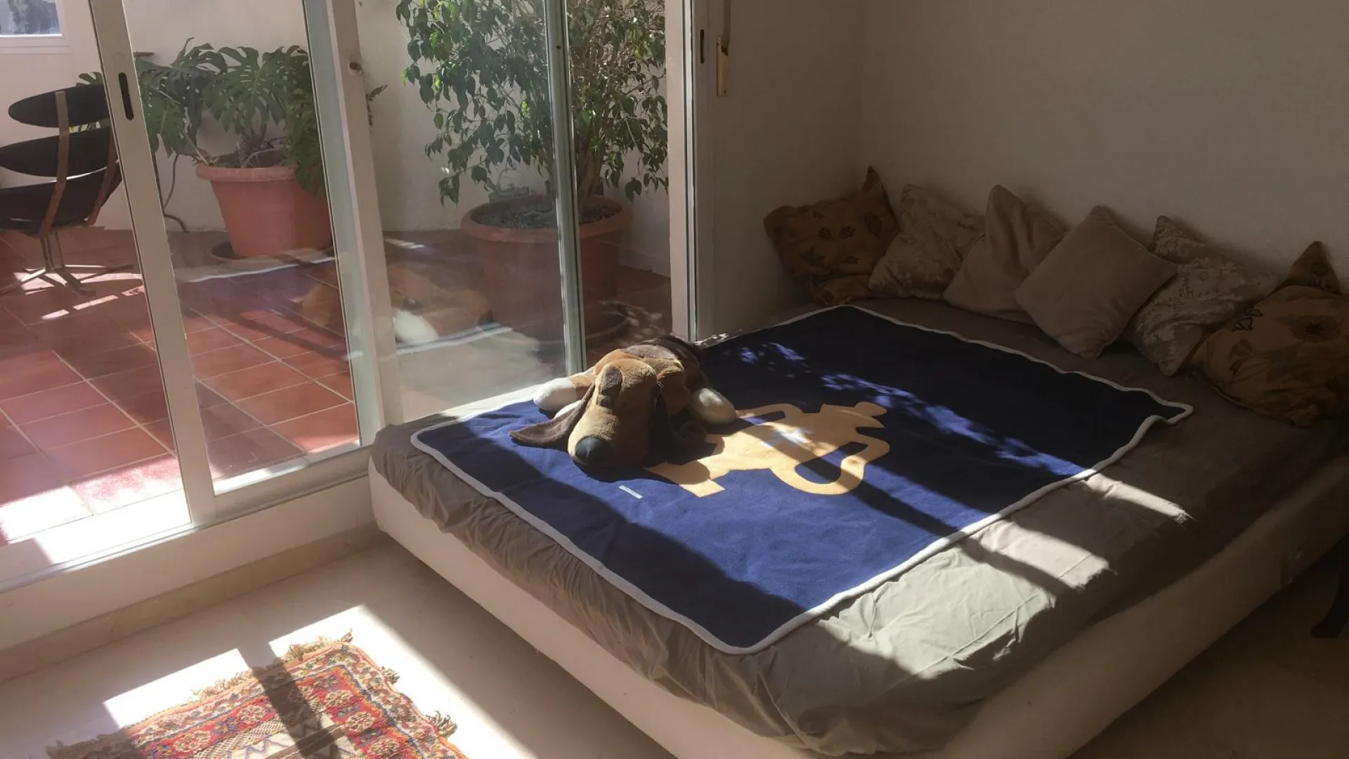 3 bedrooms penthouse for sale in San Pedro de Alcantara