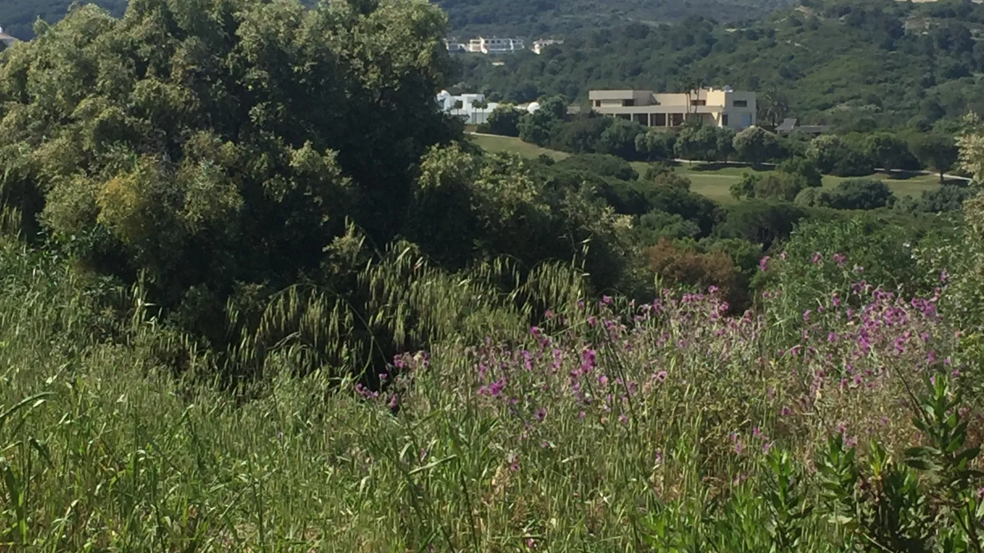 Plot for sale in Sotogrande Alto