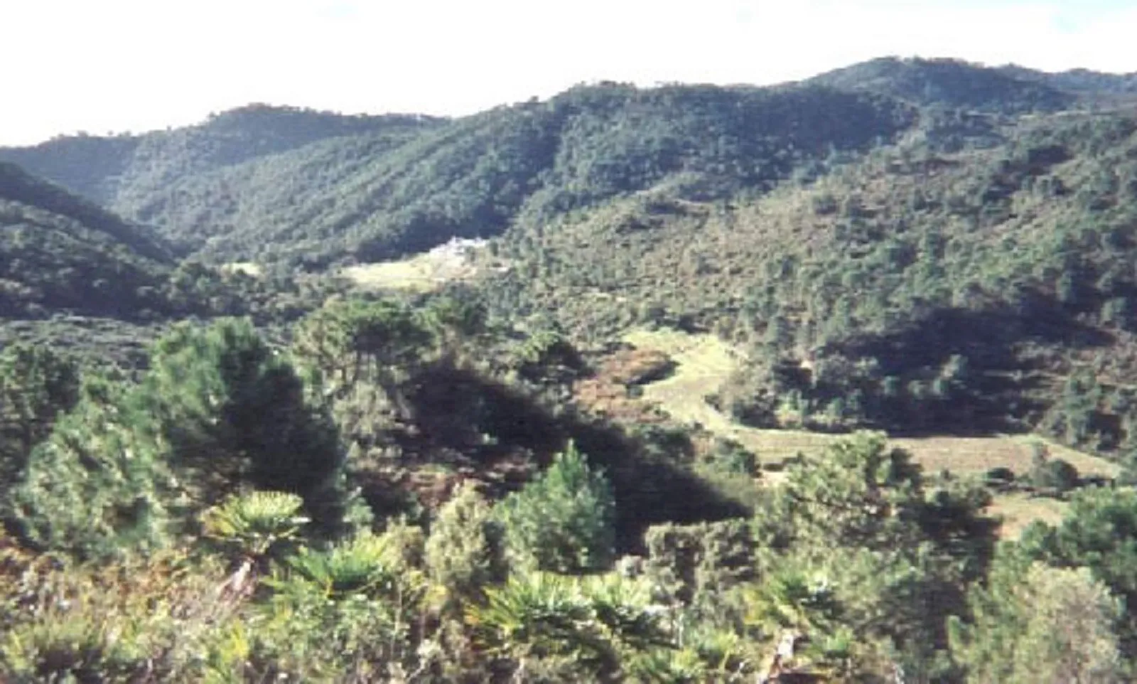 Plot in El Velerin for sale