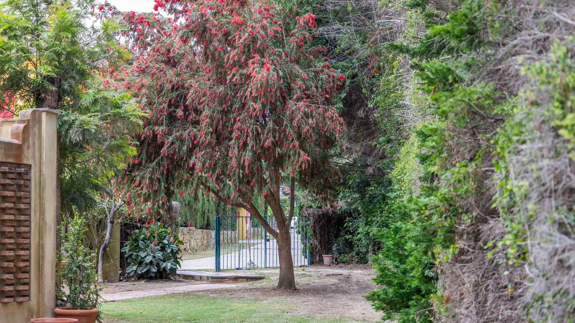 For sale semi detached house with 4 bedrooms in El Casar Fronda