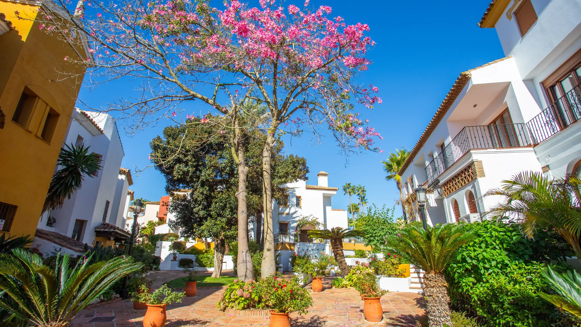 Semi detached house for sale in Alcaidesa Costa with 3 bedrooms