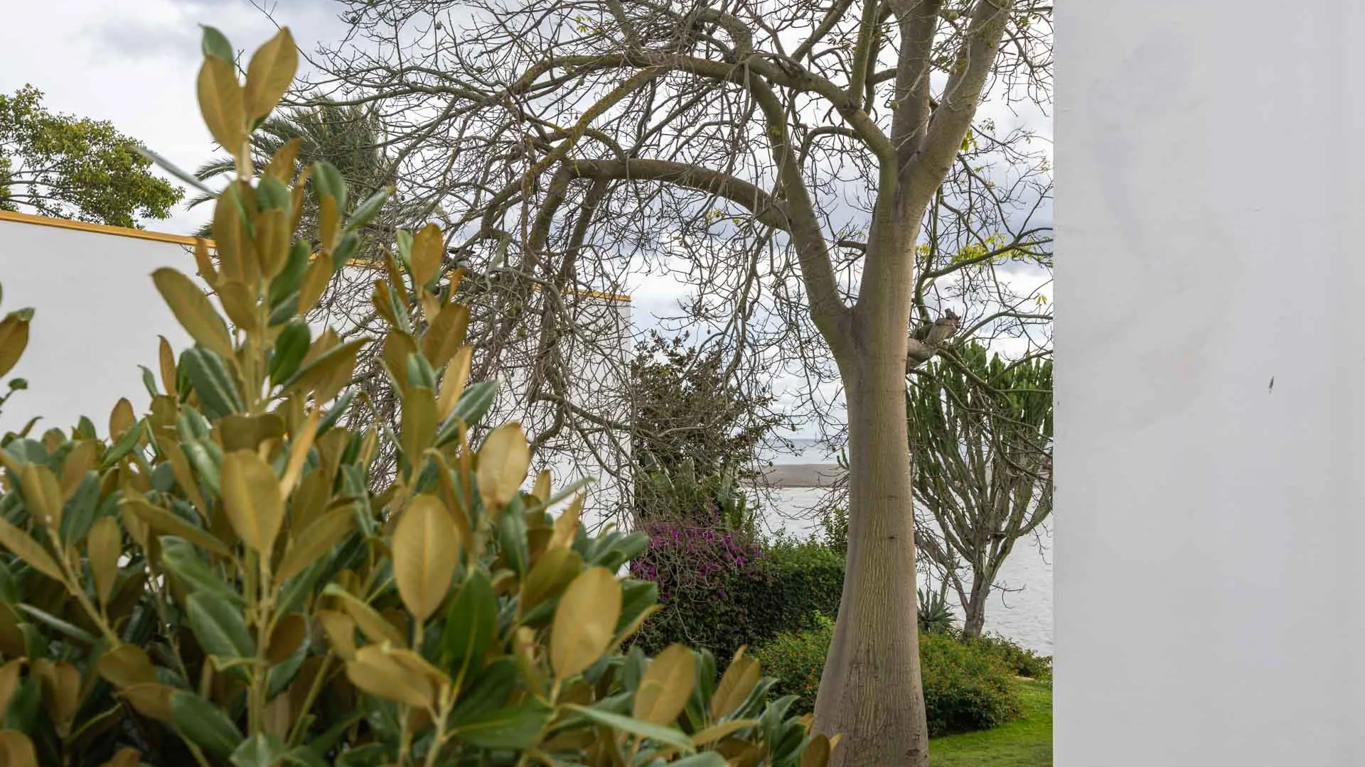 Se vende duplex planta baja en Paseo del Río