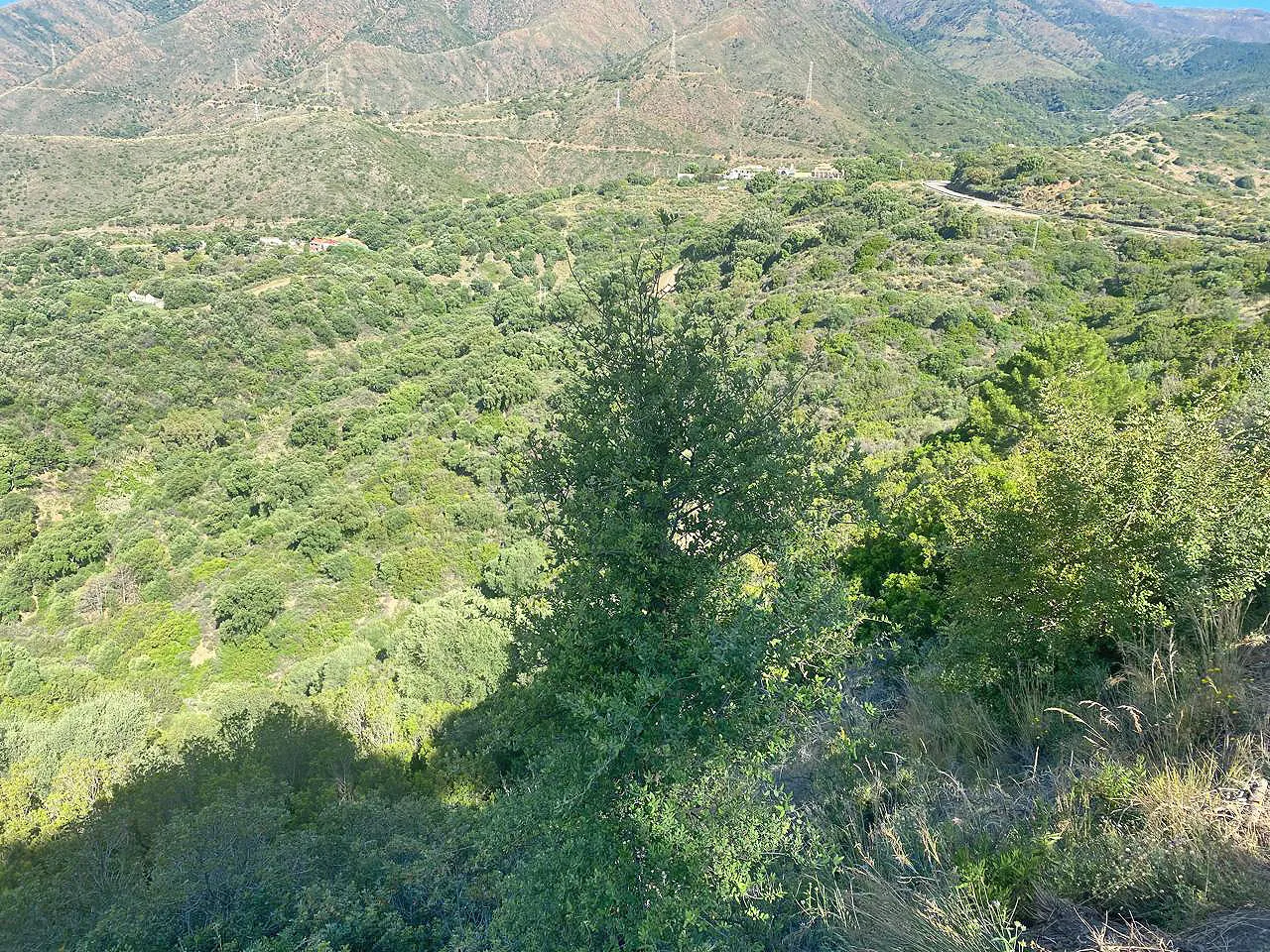 Plot for sale in Los Reales - Sierra Estepona
