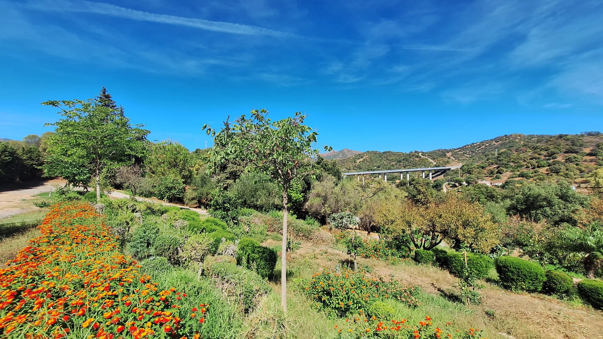 Finca for sale in El Velerin with 2 bedrooms