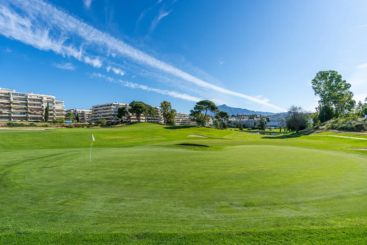 Se vende atico duplex en Guadalmina Alta