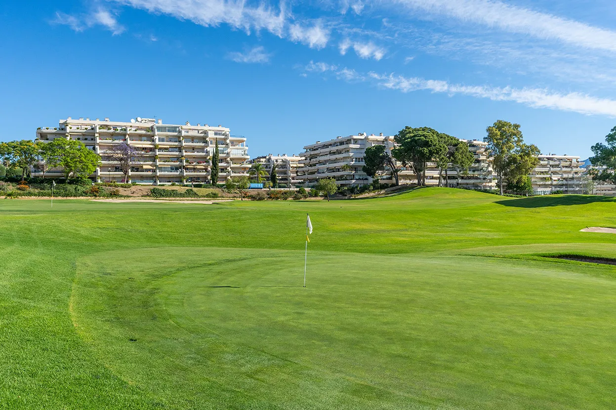 Se vende atico duplex en Guadalmina Alta