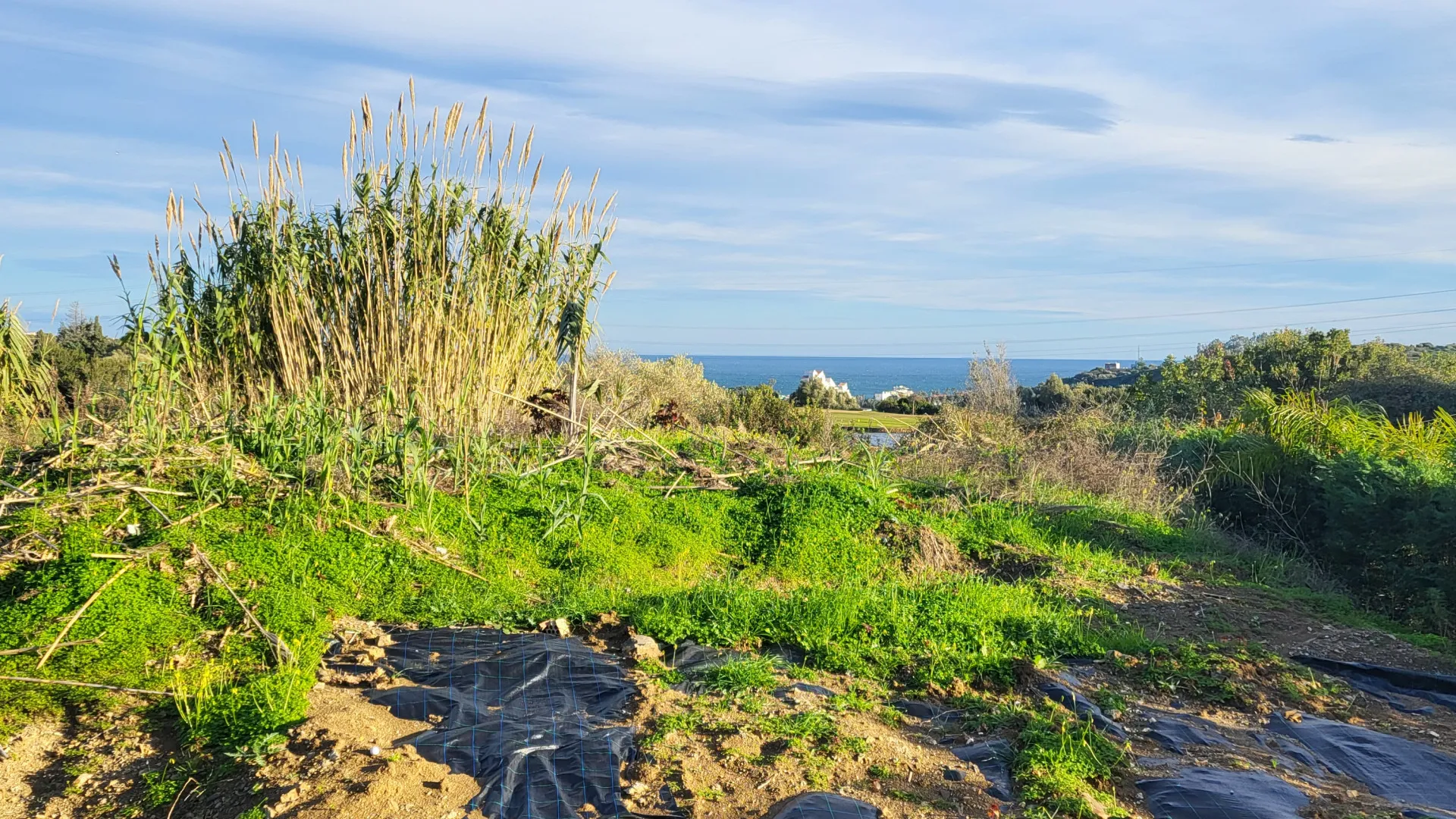 Parcela a la venta en Valle Romano