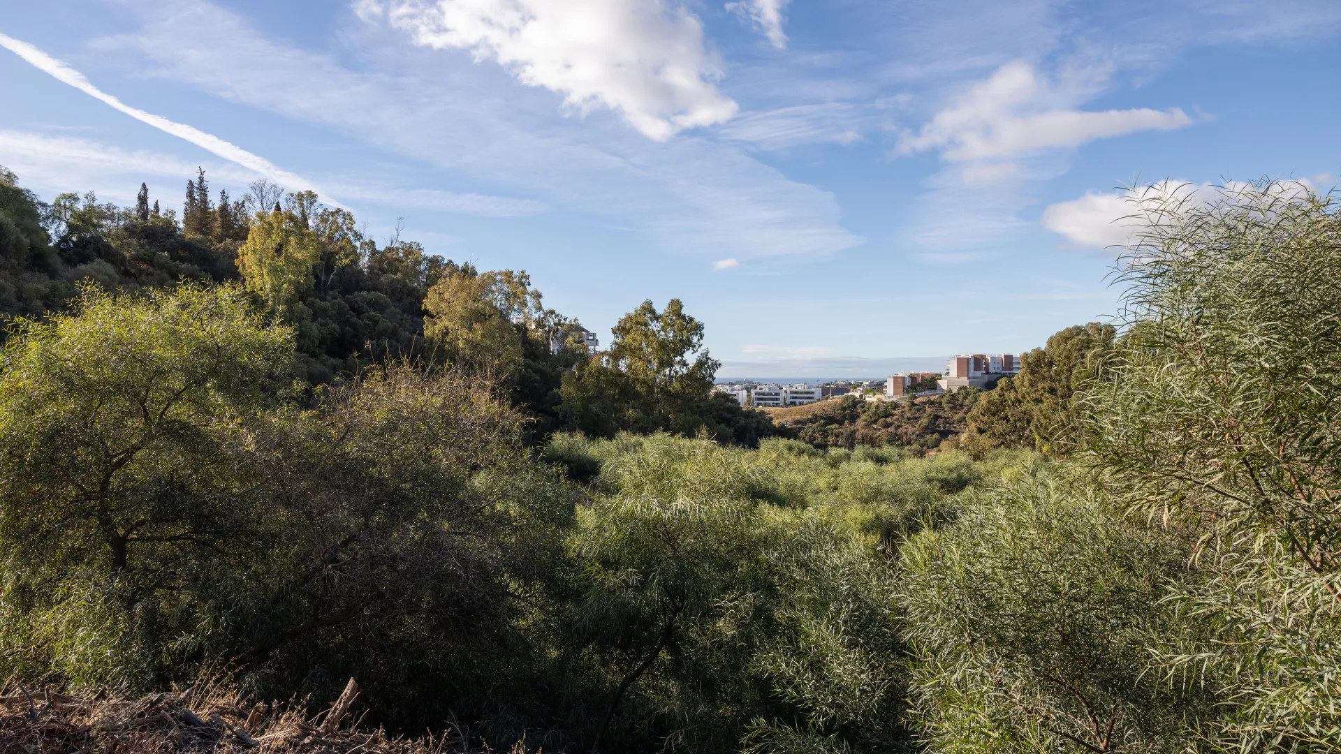 Parcela a la venta en Puerto del Almendro