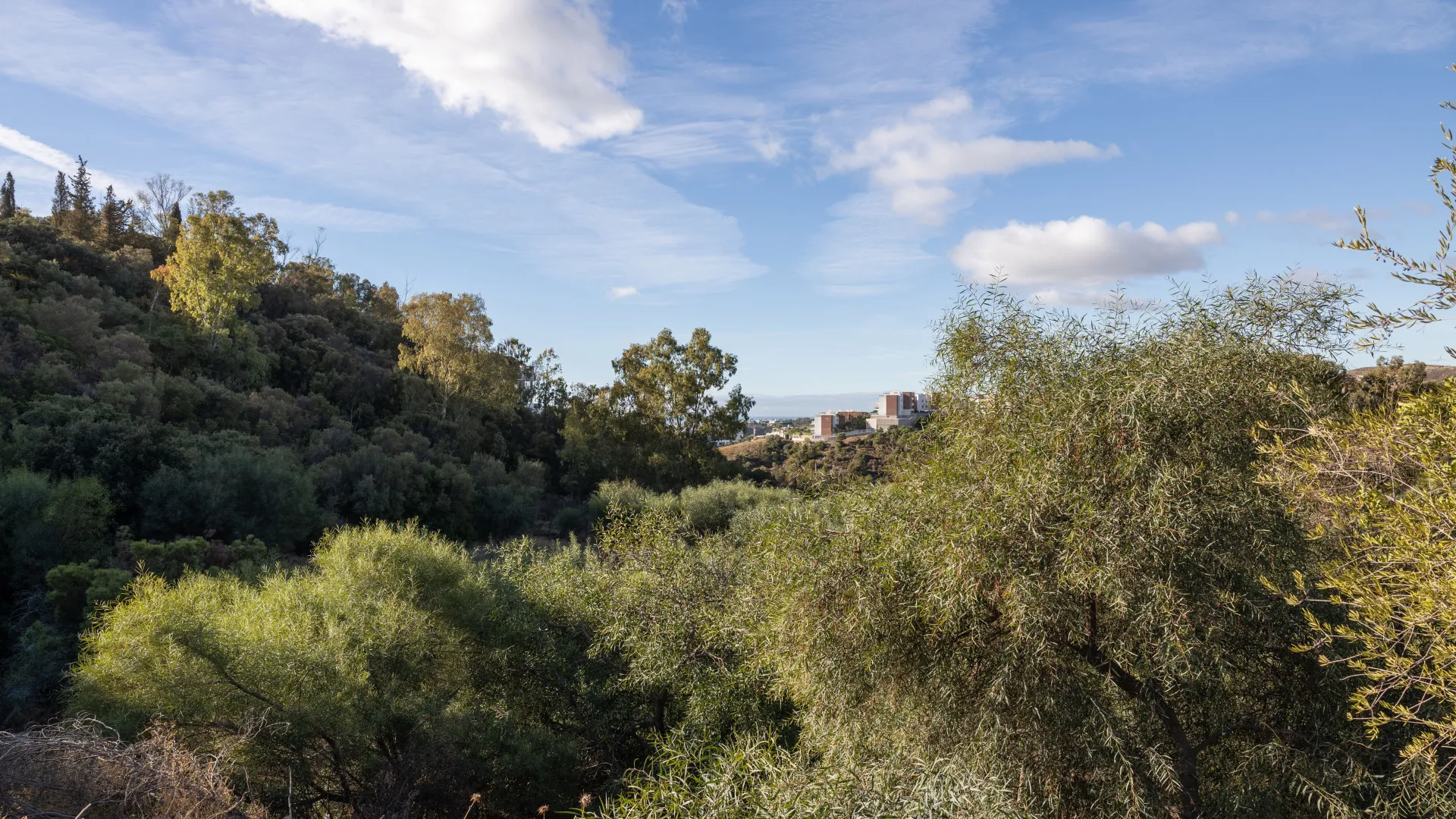Parcela a la venta en Puerto del Almendro