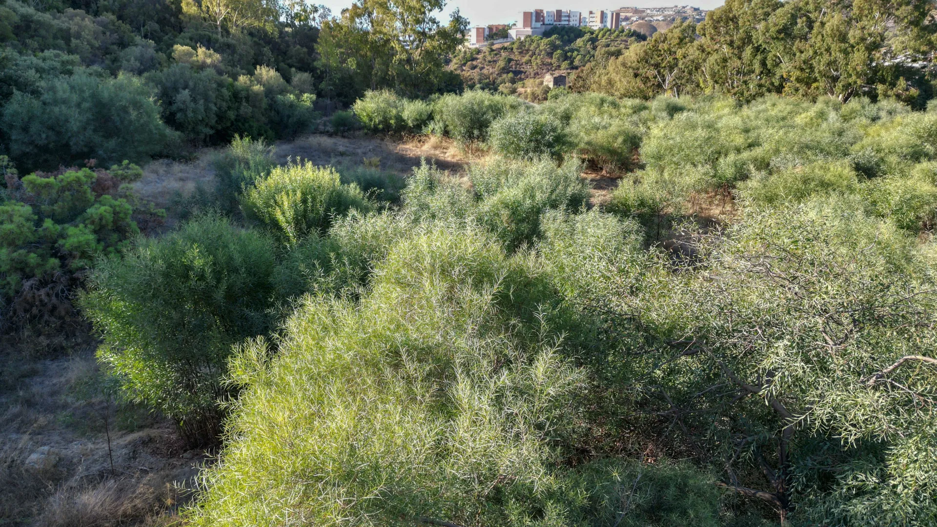 Parcela a la venta en Puerto del Almendro
