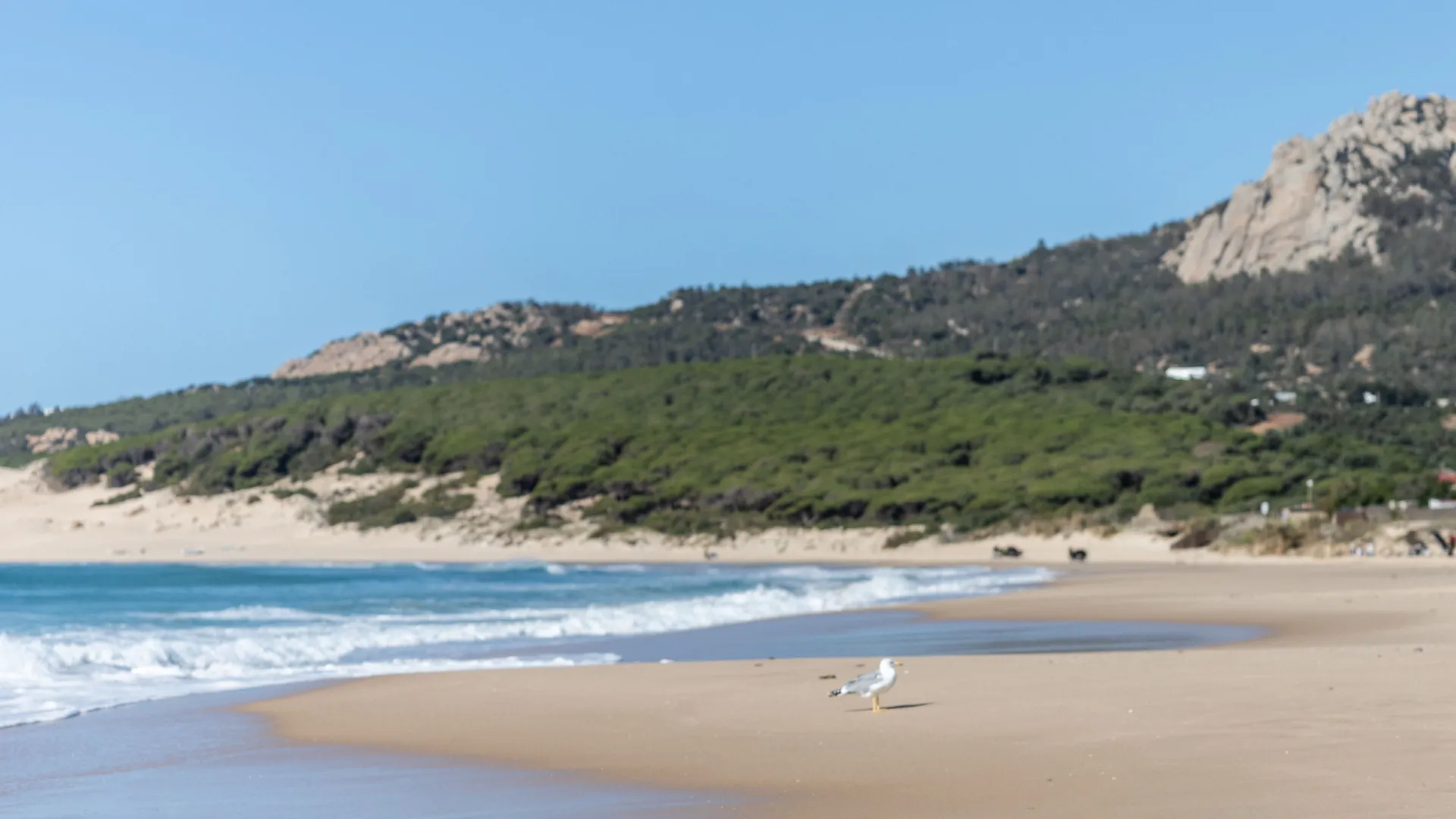 Plot for sale in Bolonia