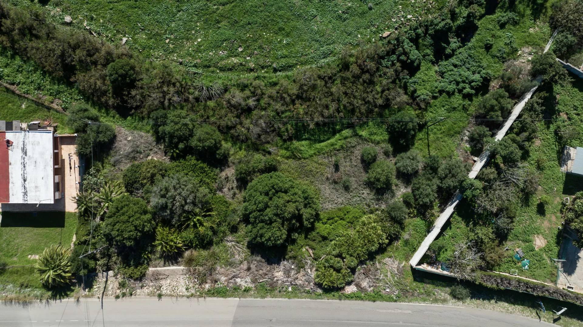 Plot for sale in Bolonia