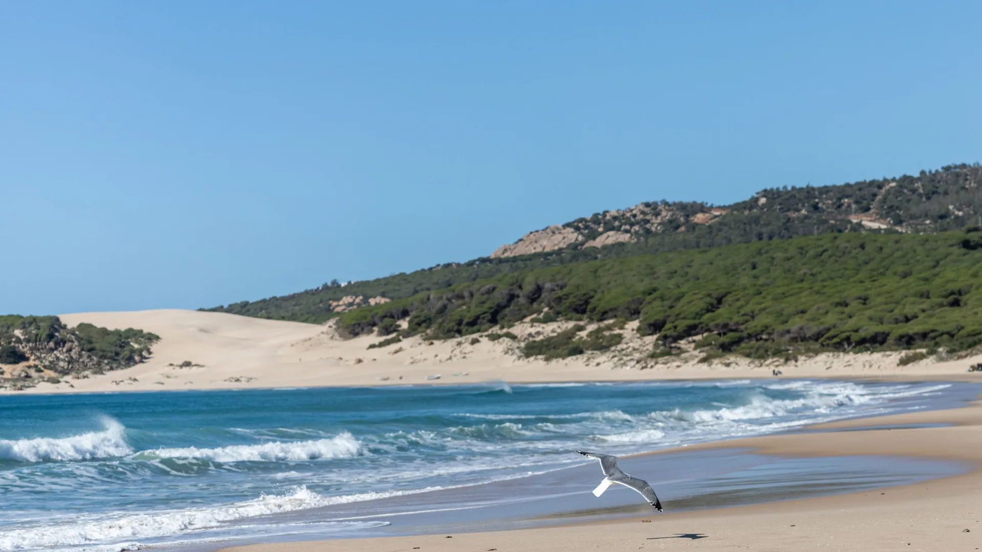 Plot for sale in Bolonia