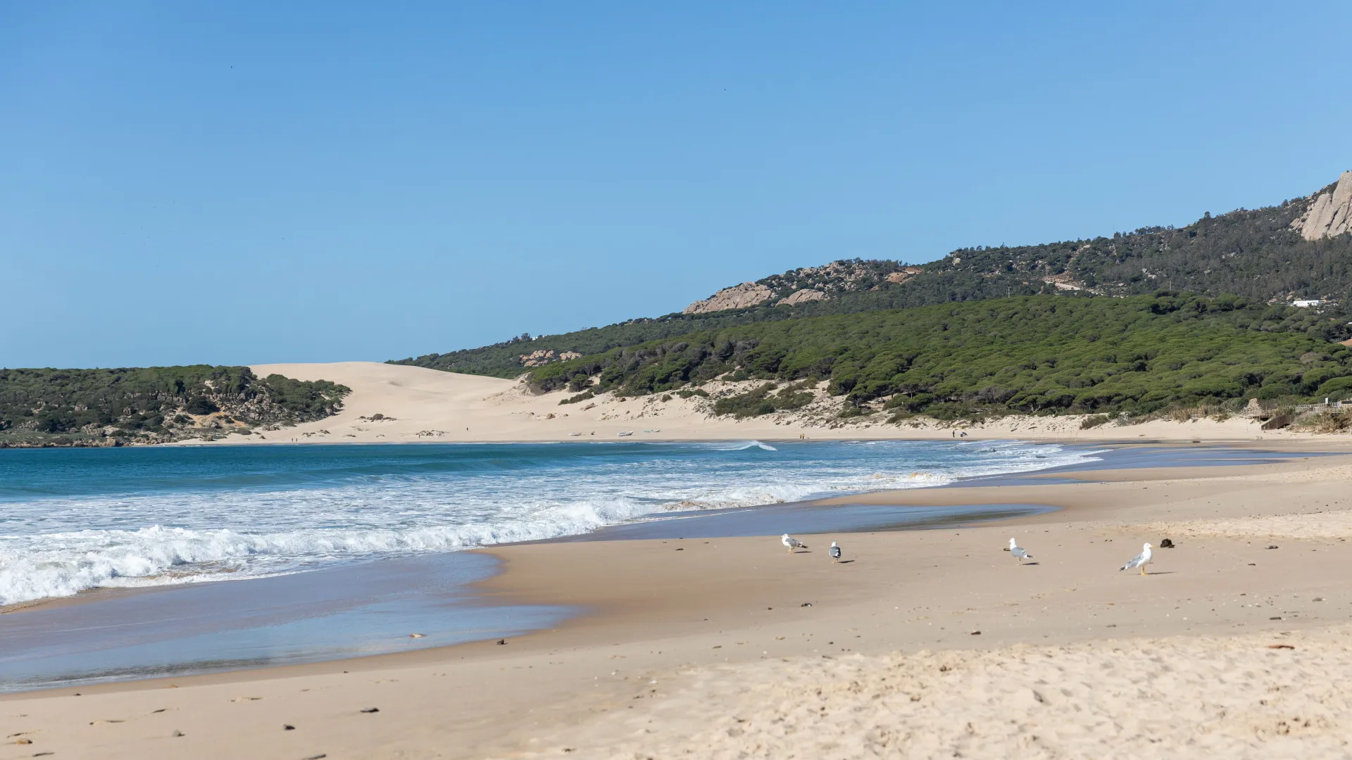 Plot for sale in Bolonia