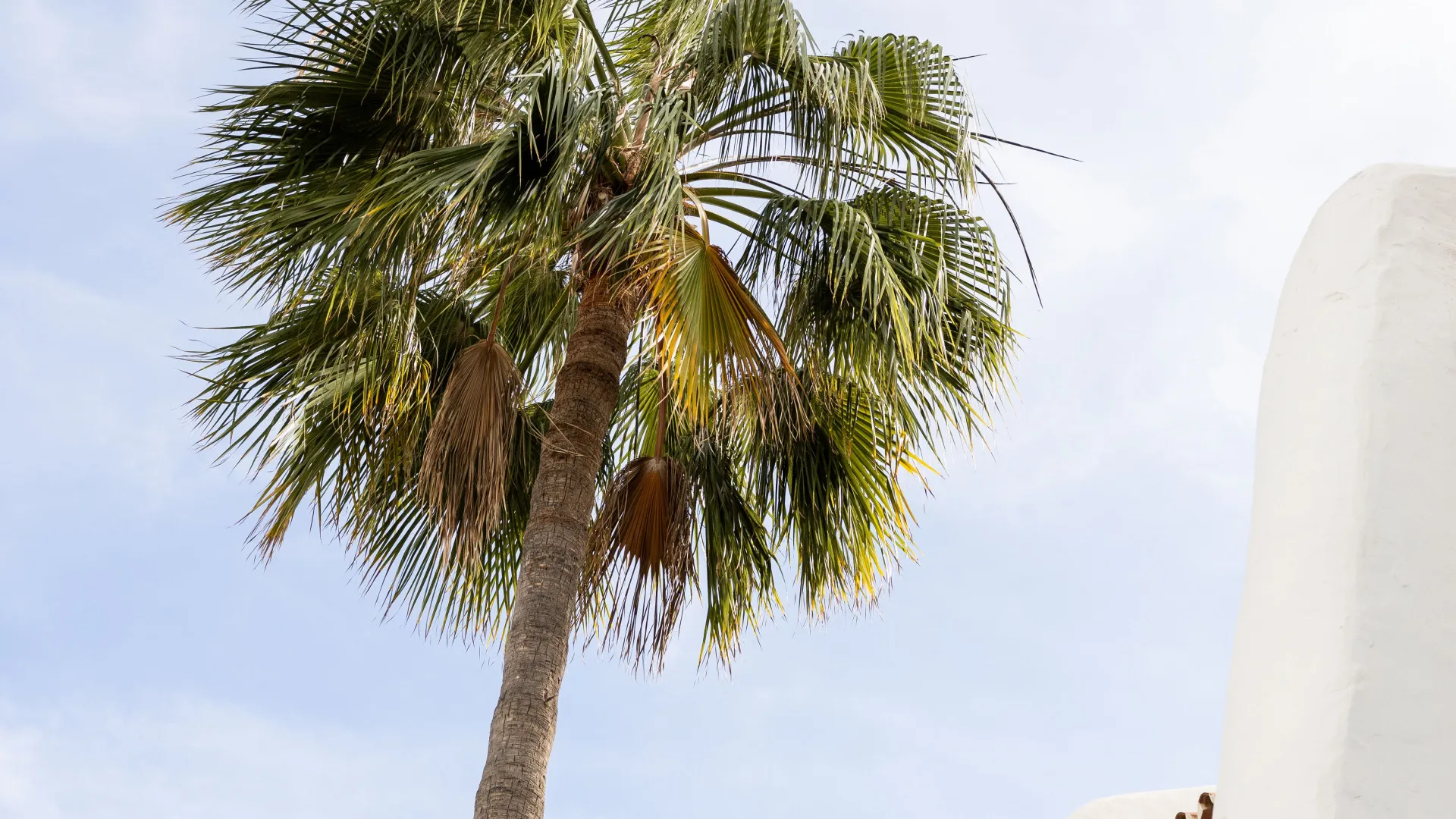 Town house for sale in Coral Beach