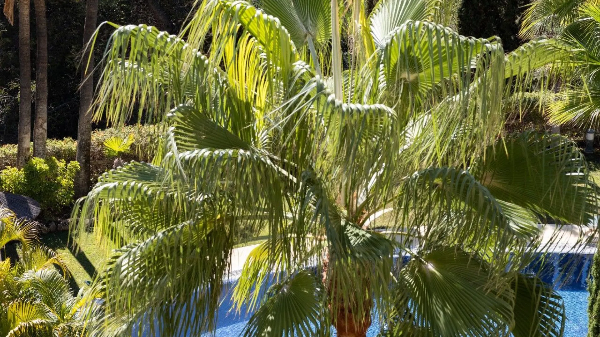 Se vende apartamento en Condado de Sierra Blanca de 2 dormitorios