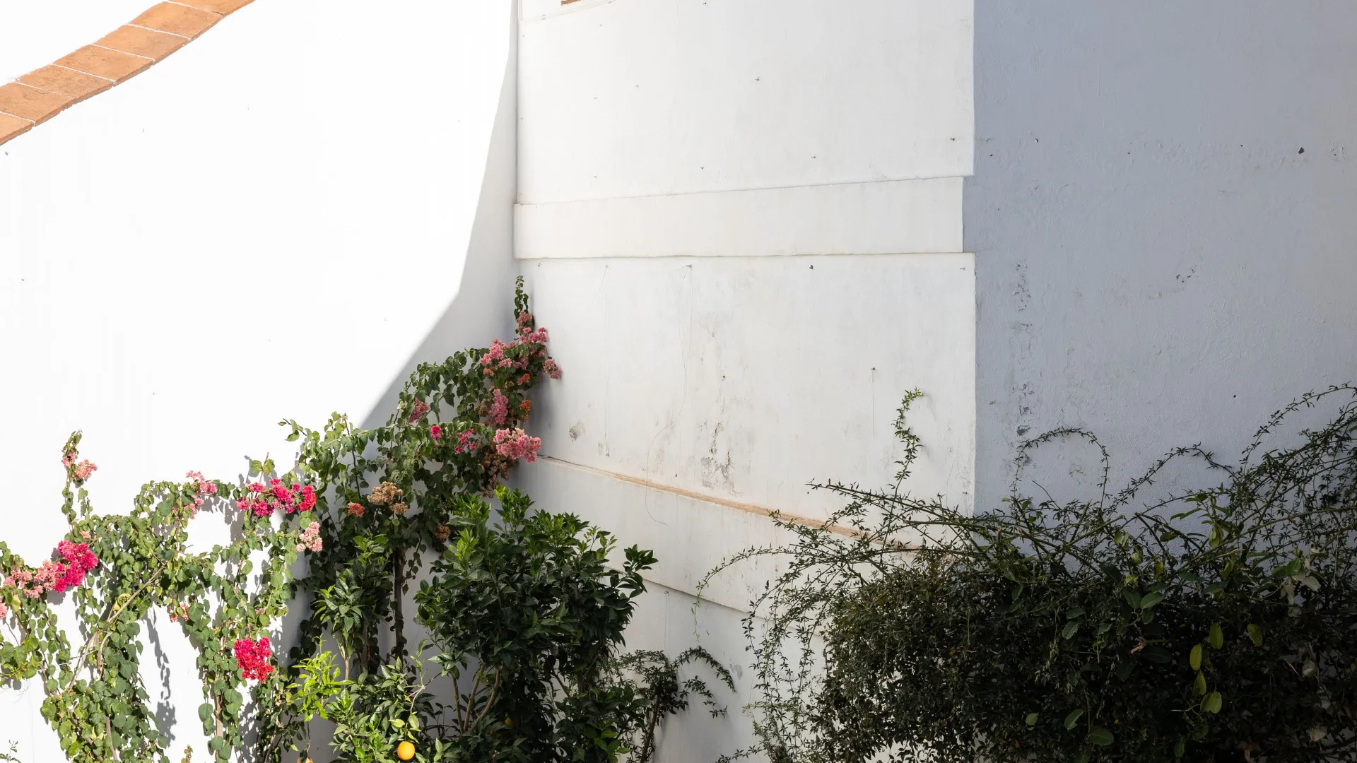 Pareado en venta de 4 dormitorios en Monte Mayor