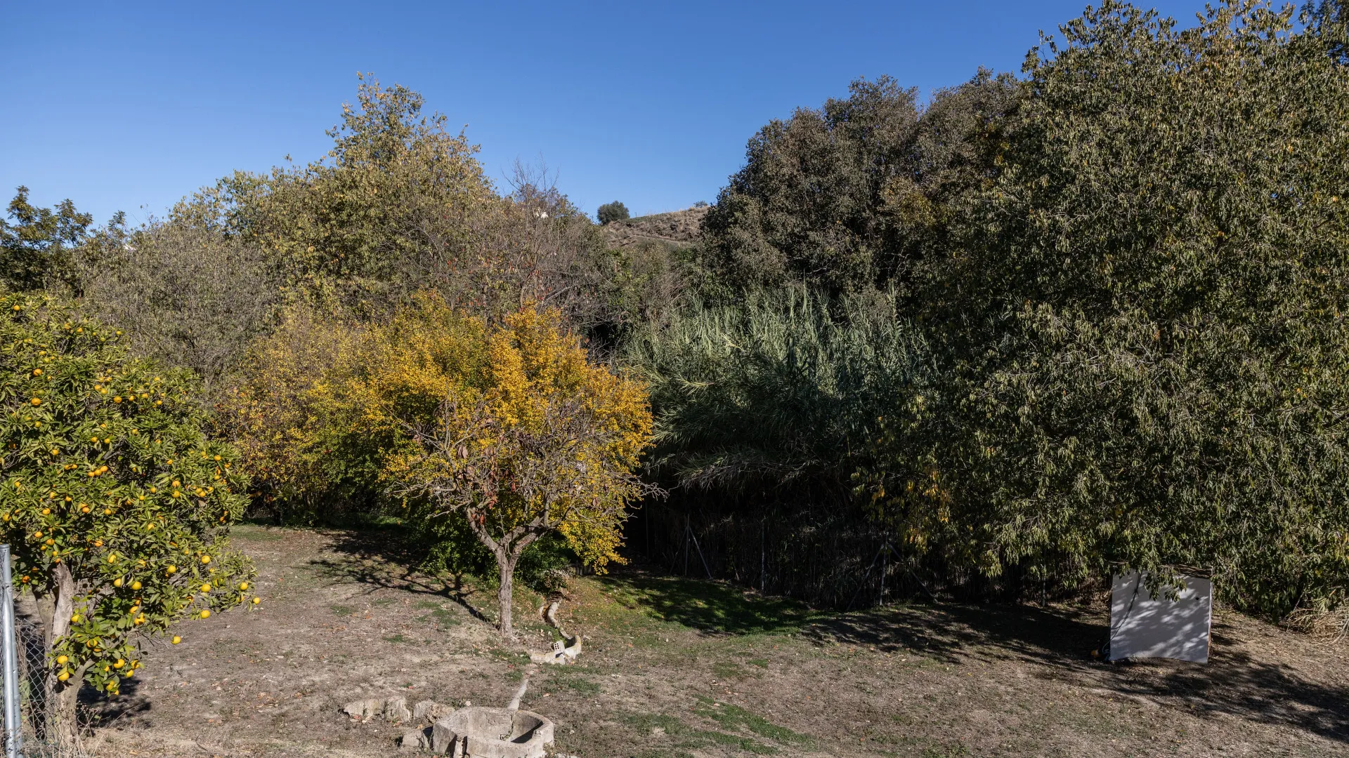 5 bedrooms villa for sale in Coin Centro